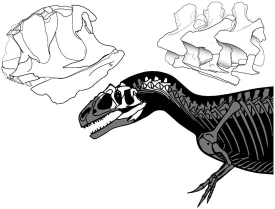 Diversity 17 00029 g002