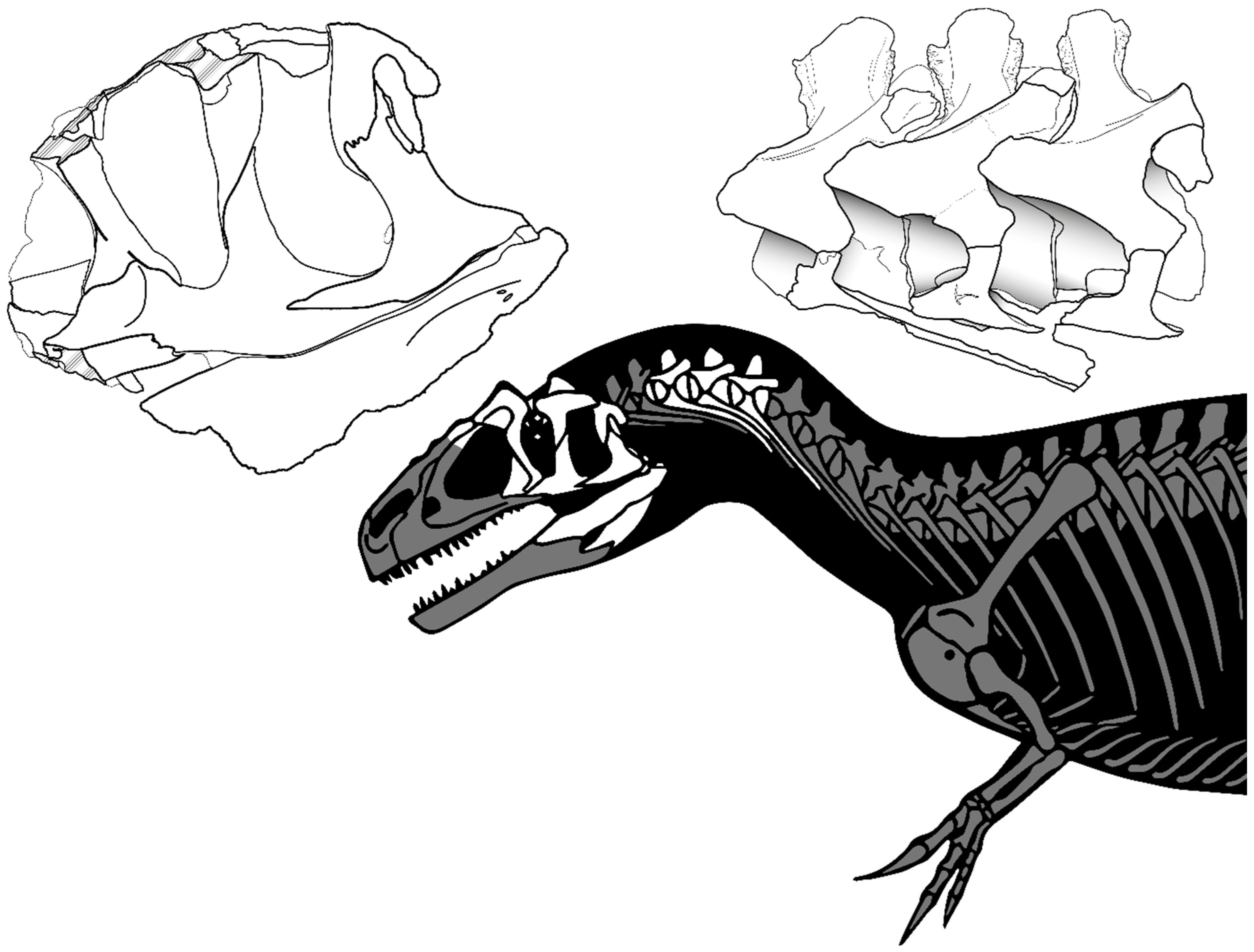 Diversity 17 00029 g002