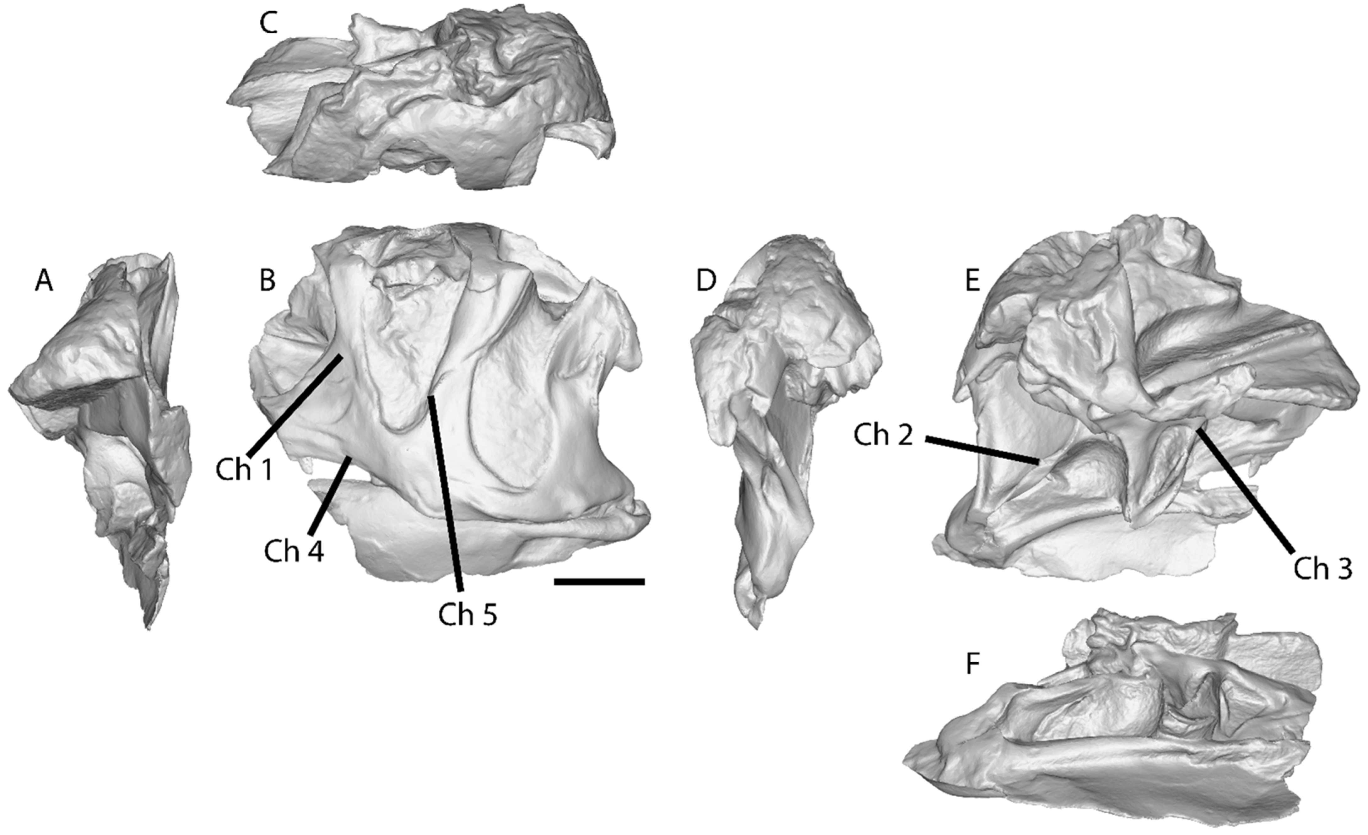 Diversity 17 00029 g003
