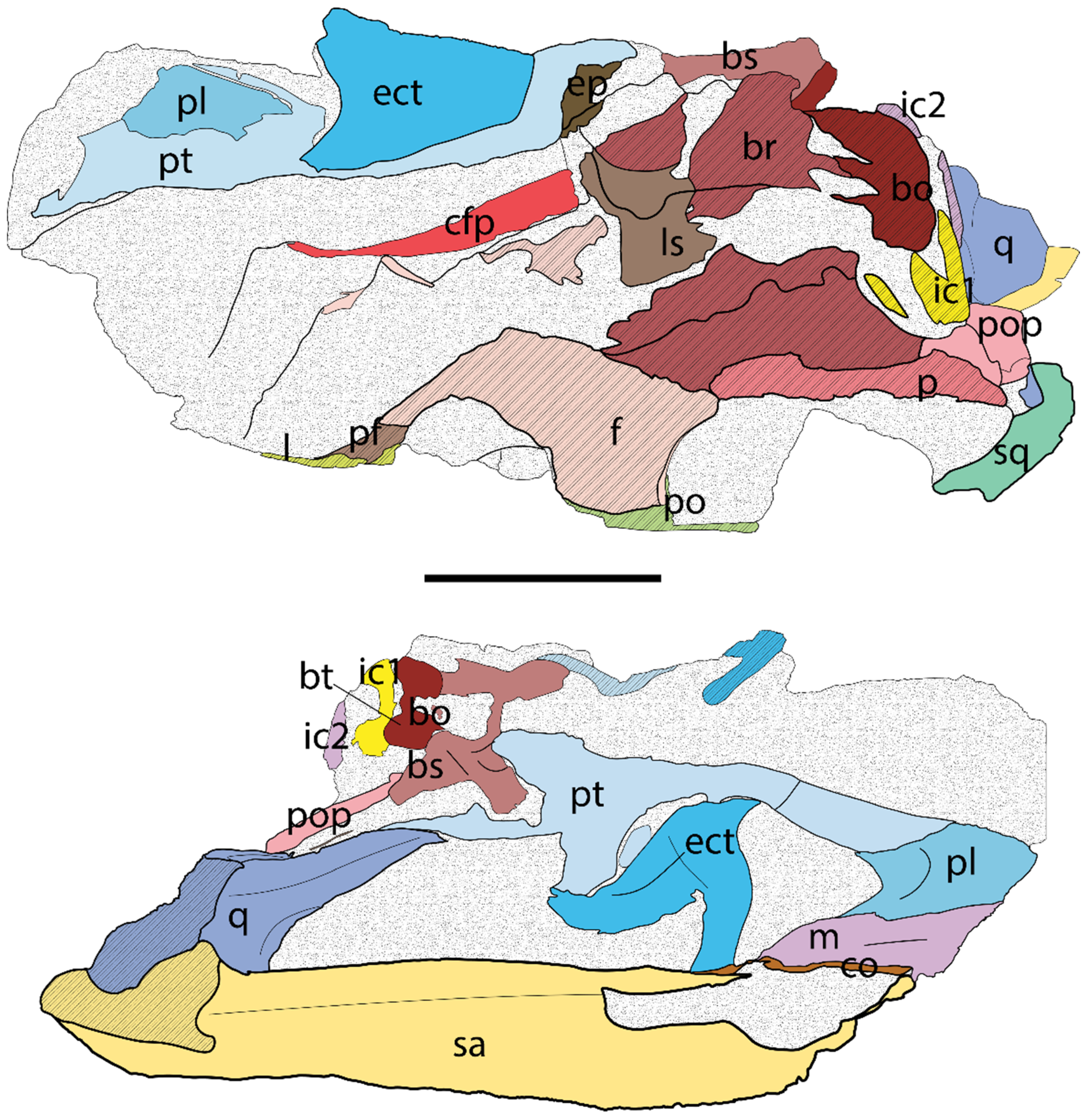 Diversity 17 00029 g010