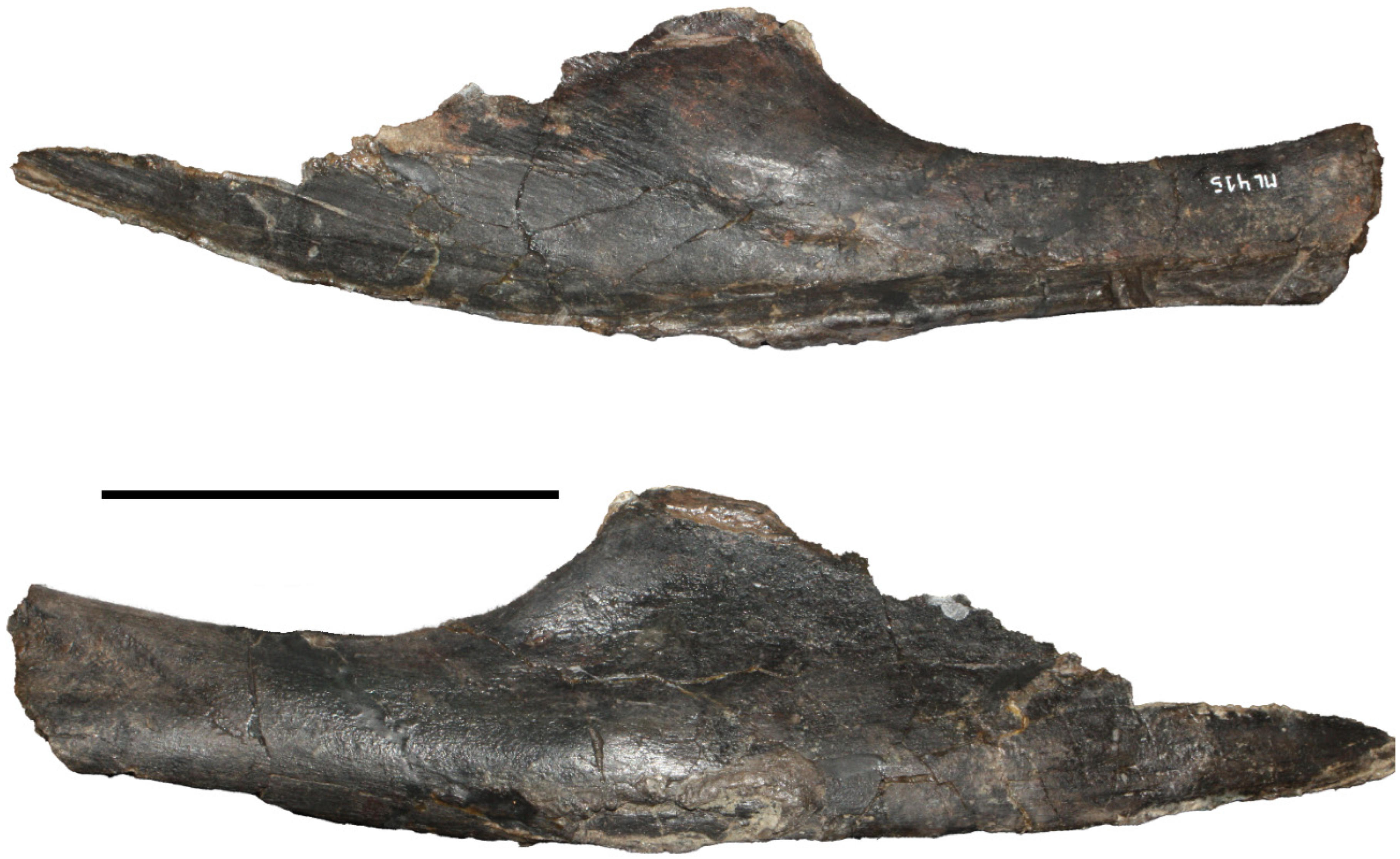 Diversity 17 00029 g016