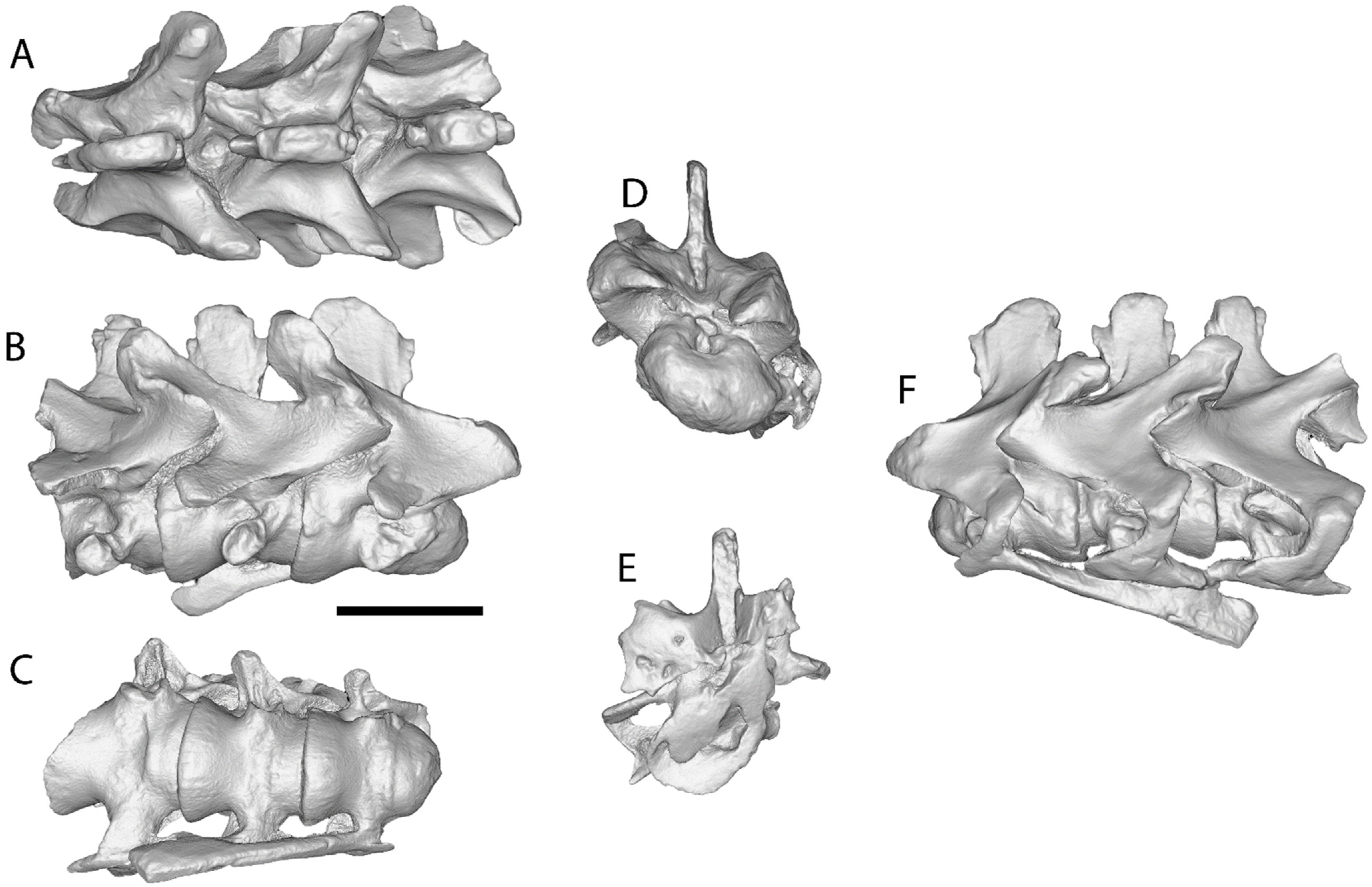 Diversity 17 00029 g019