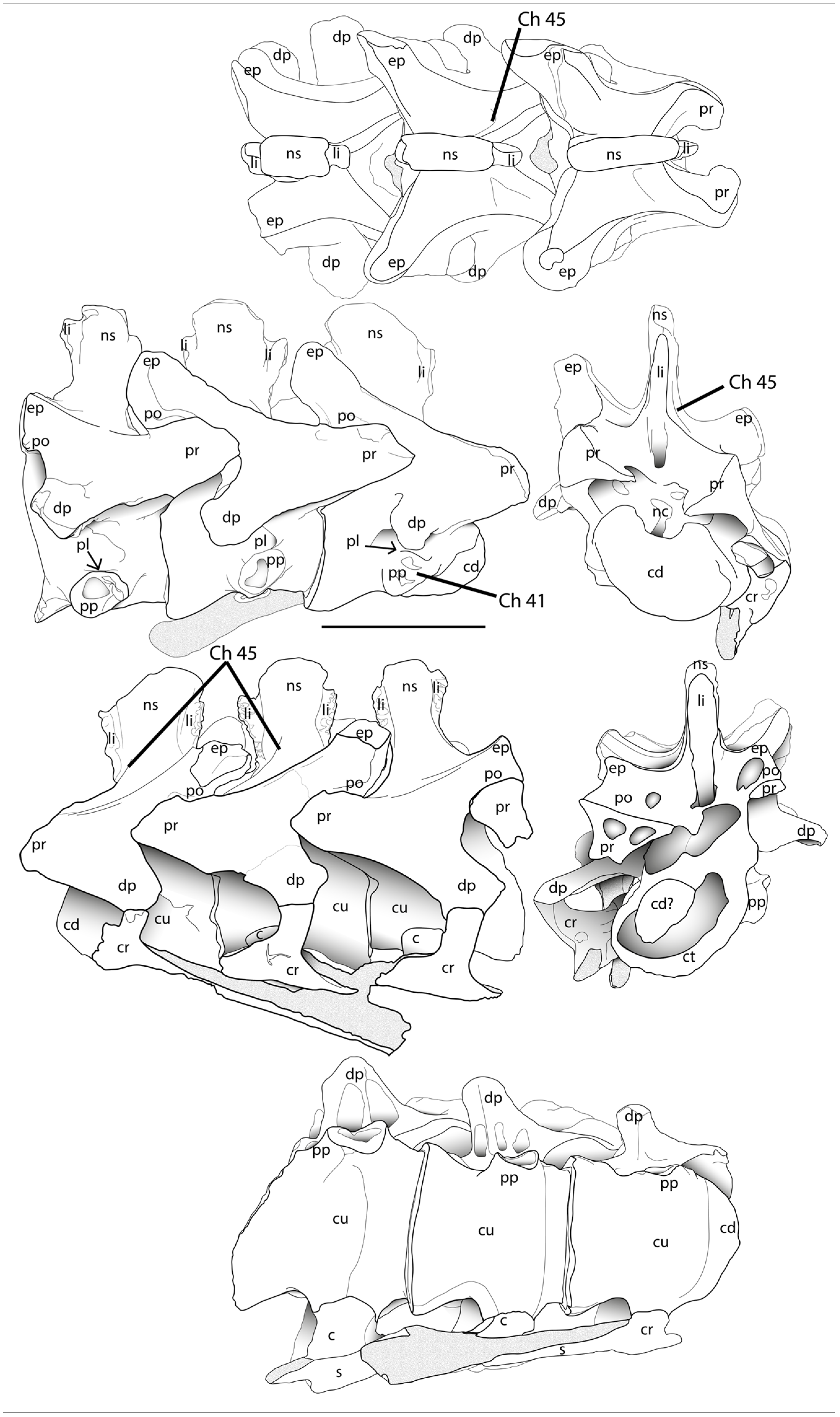 Diversity 17 00029 g022