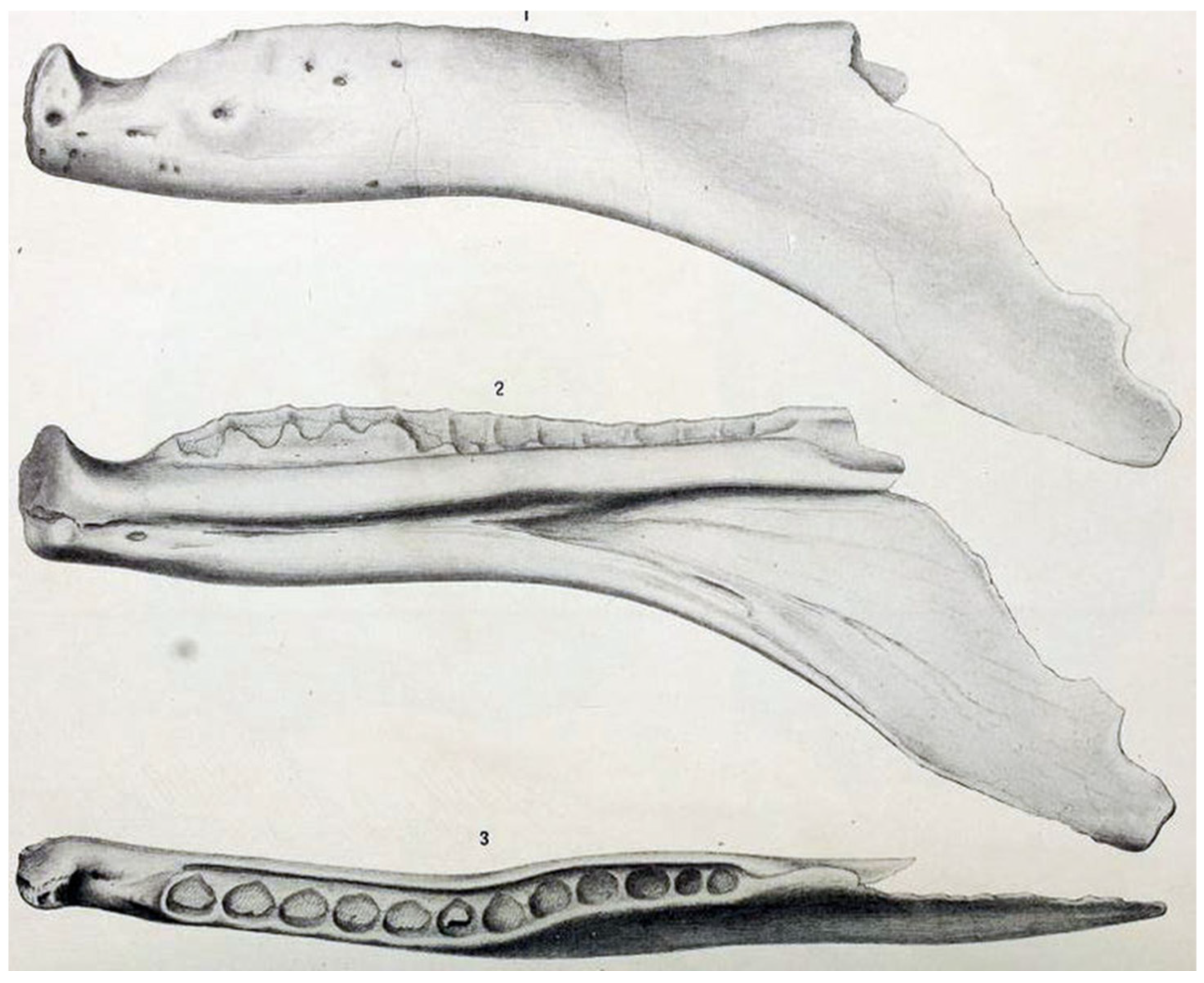 Diversity 17 00029 g024