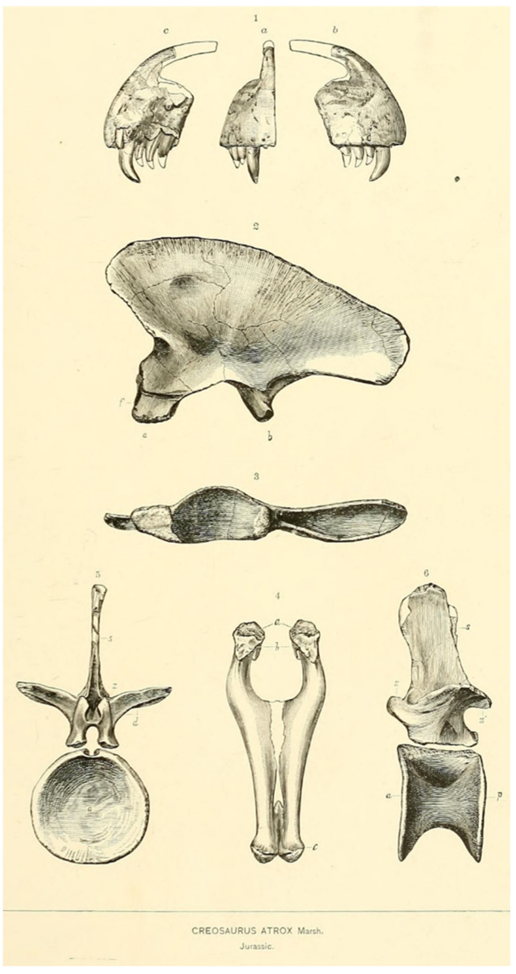 Diversity 17 00029 g025