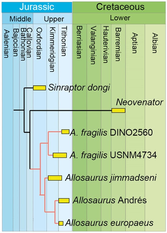 Diversity 17 00029 g028