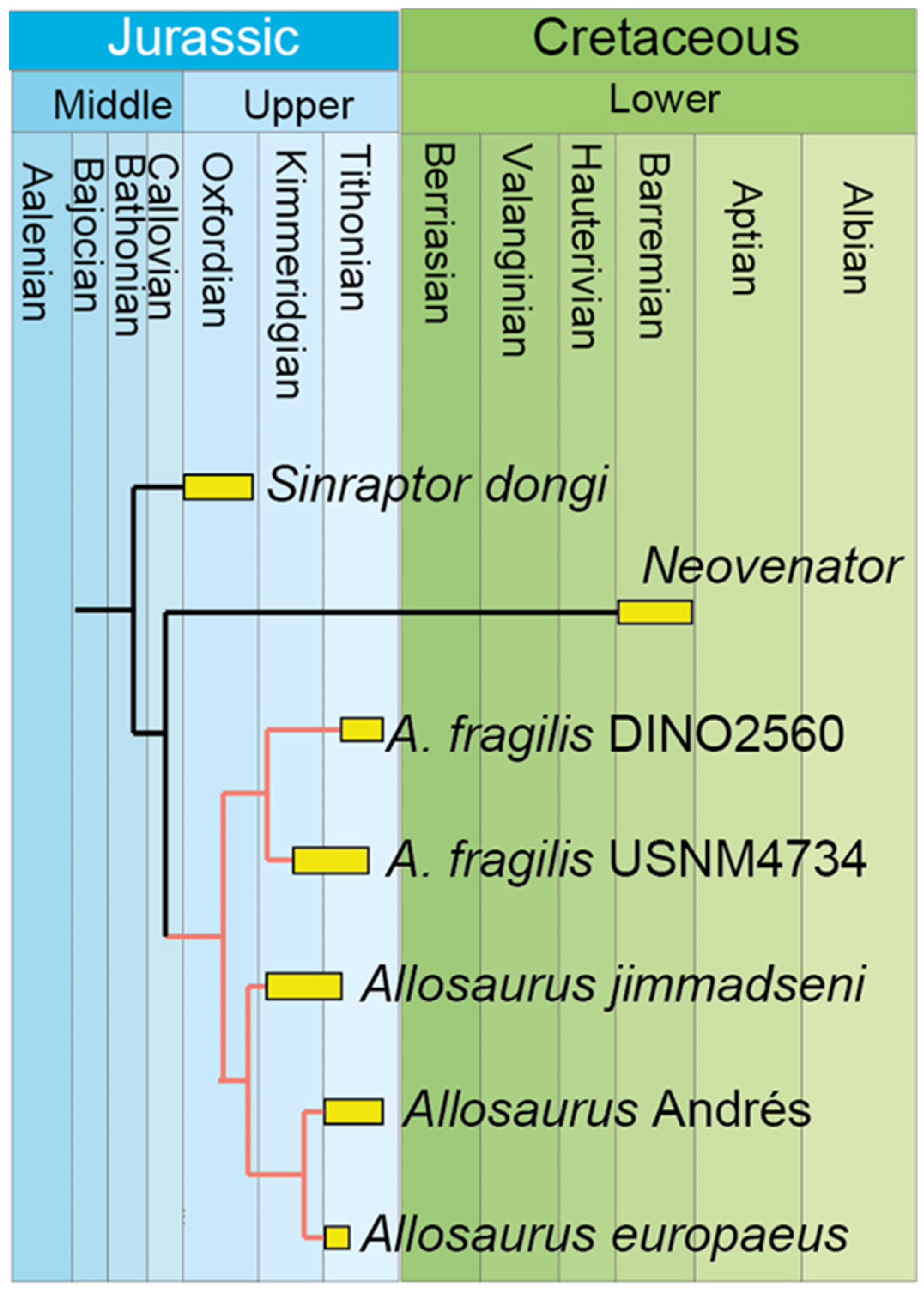 Diversity 17 00029 g028