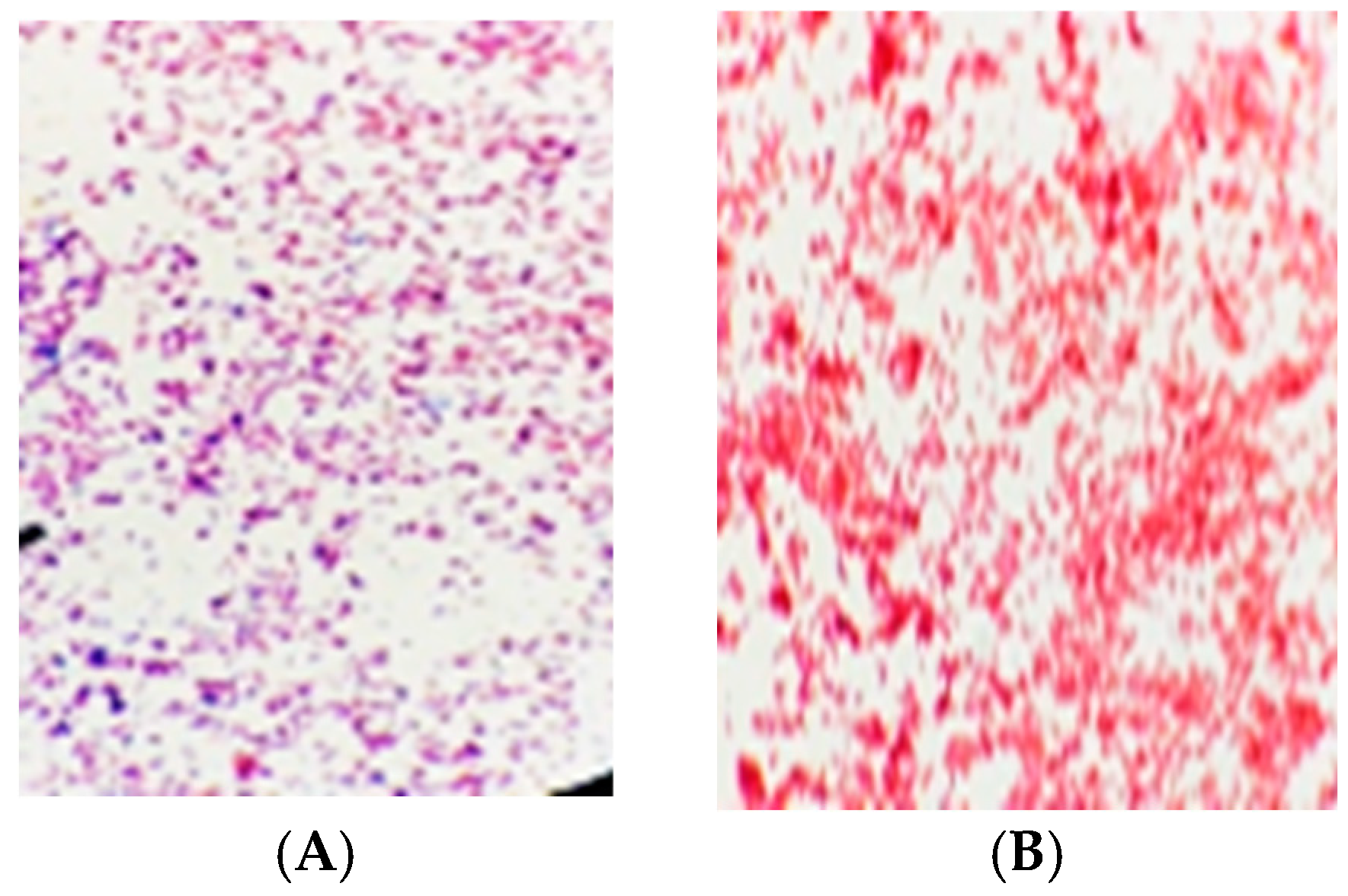 Diversity 17 00037 g001