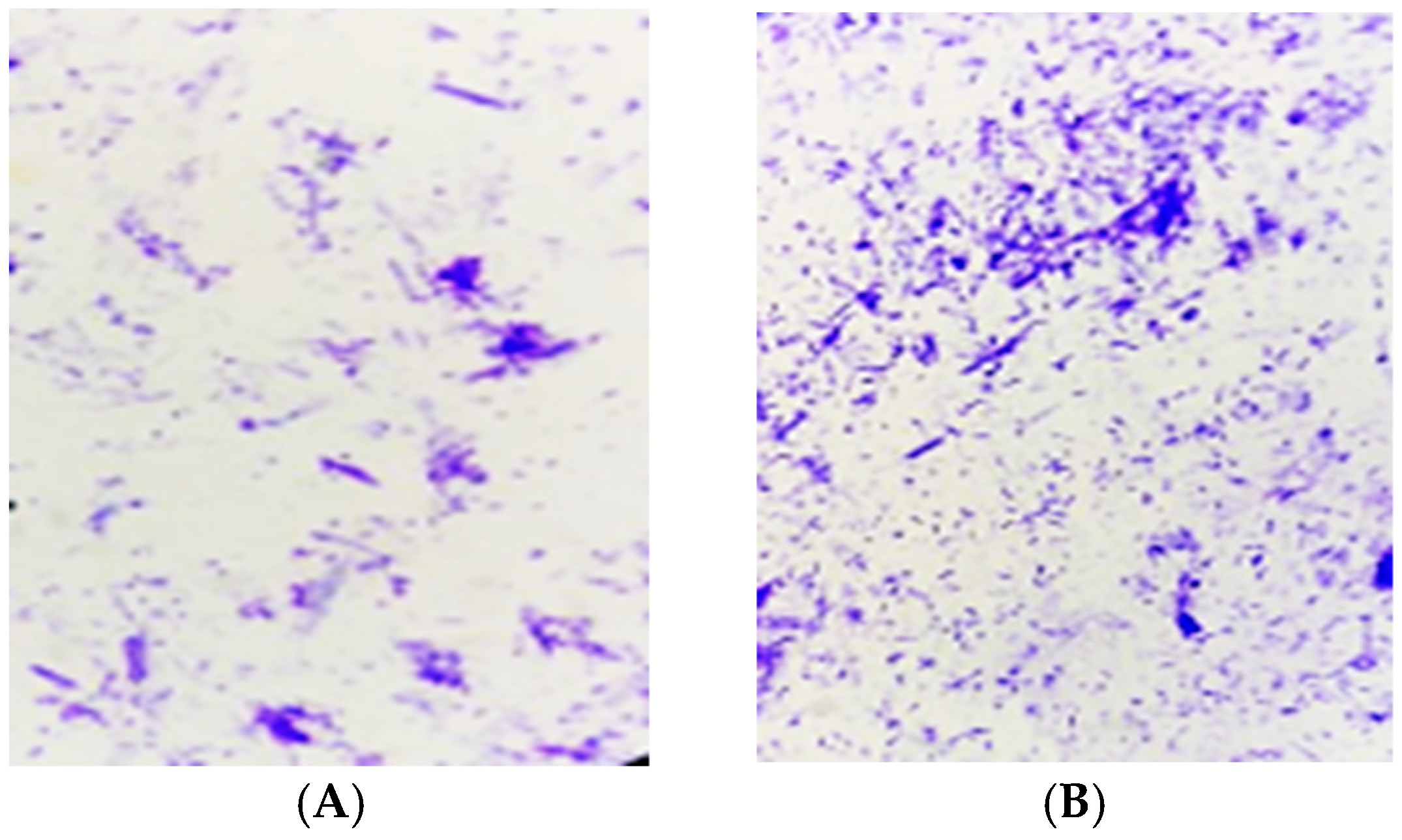 Diversity 17 00037 g003