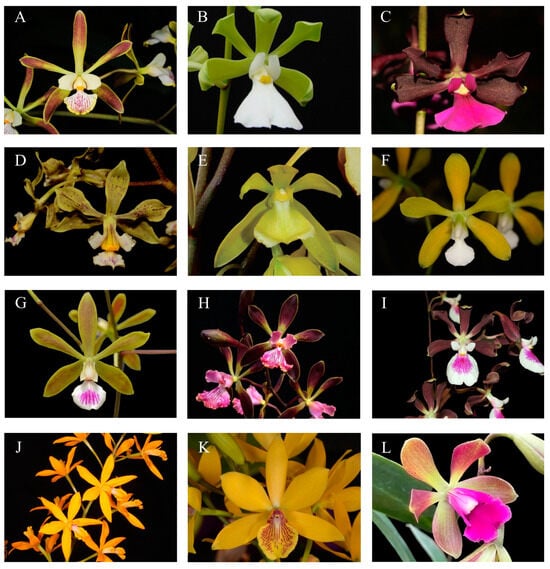 Diversity 17 00057 g0a1