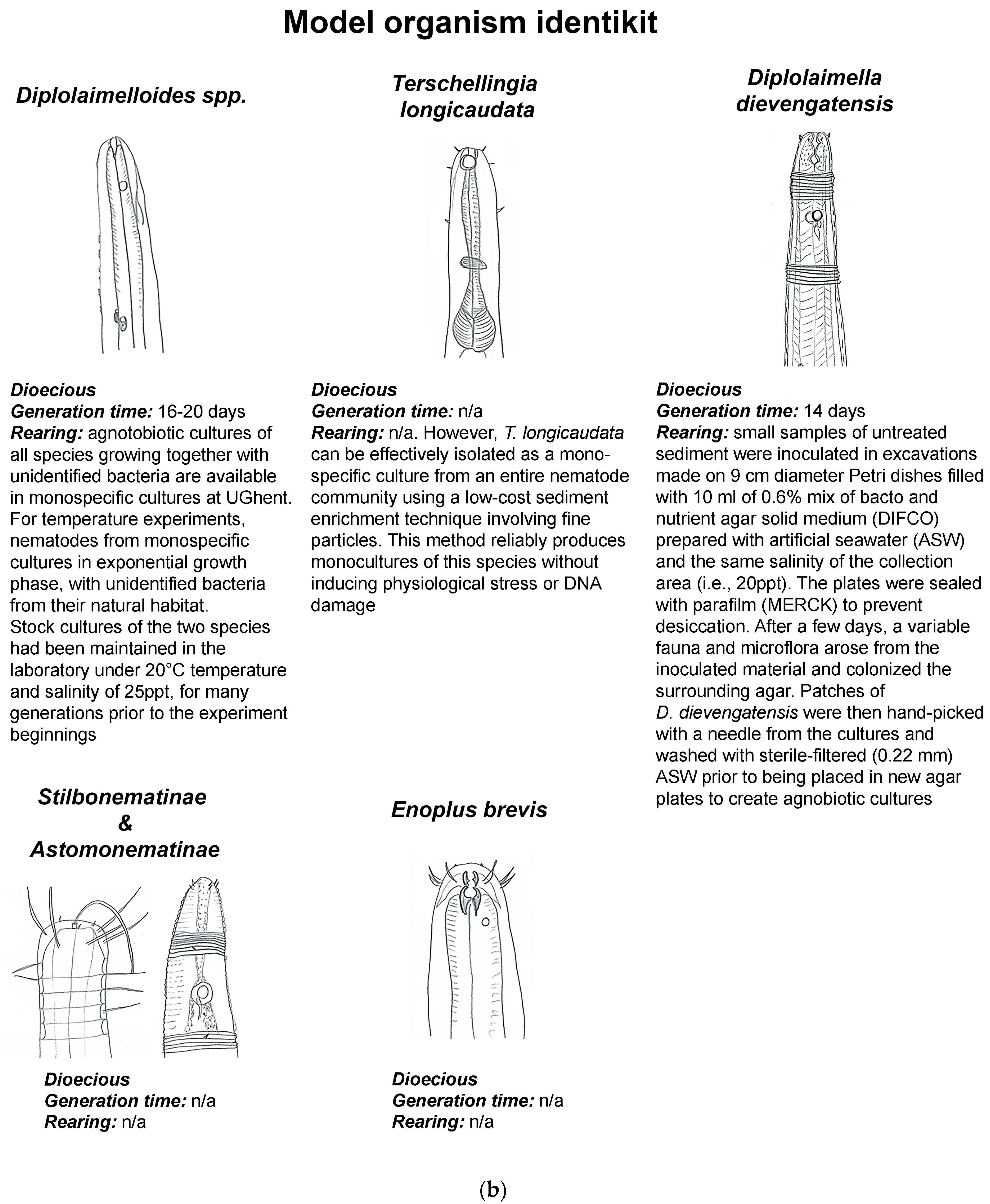 Diversity 17 00059 g001b
