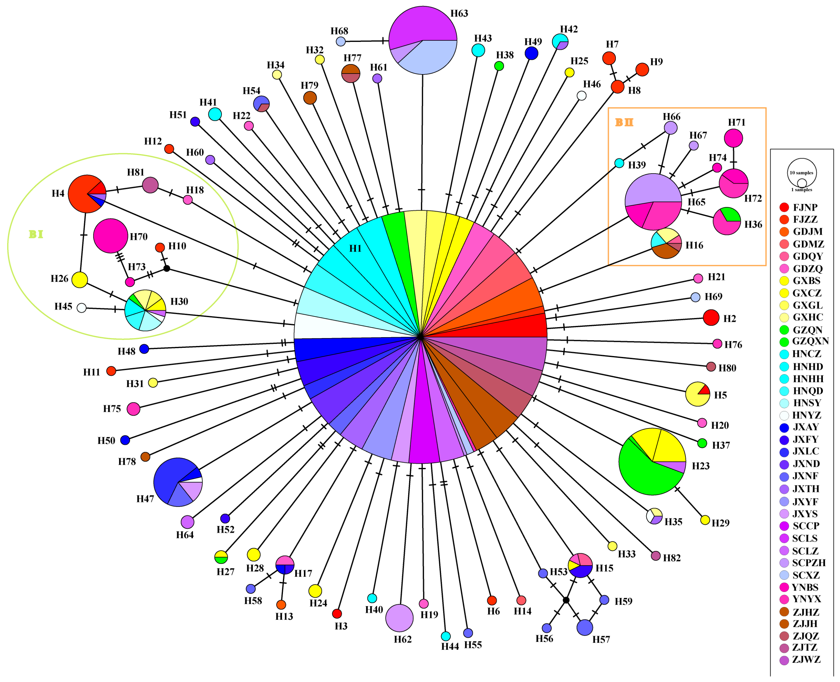 Diversity 17 00060 g003