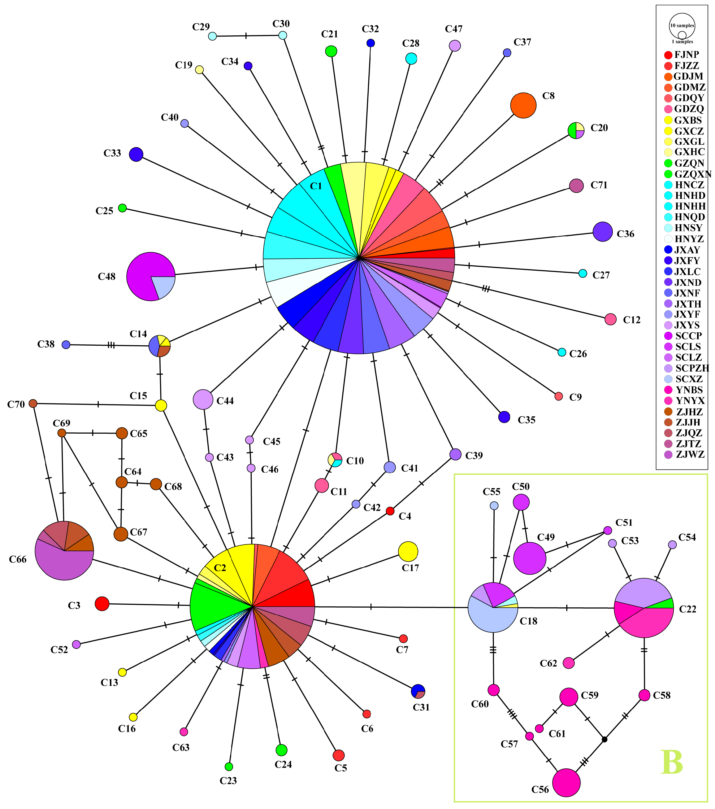Diversity 17 00060 g008