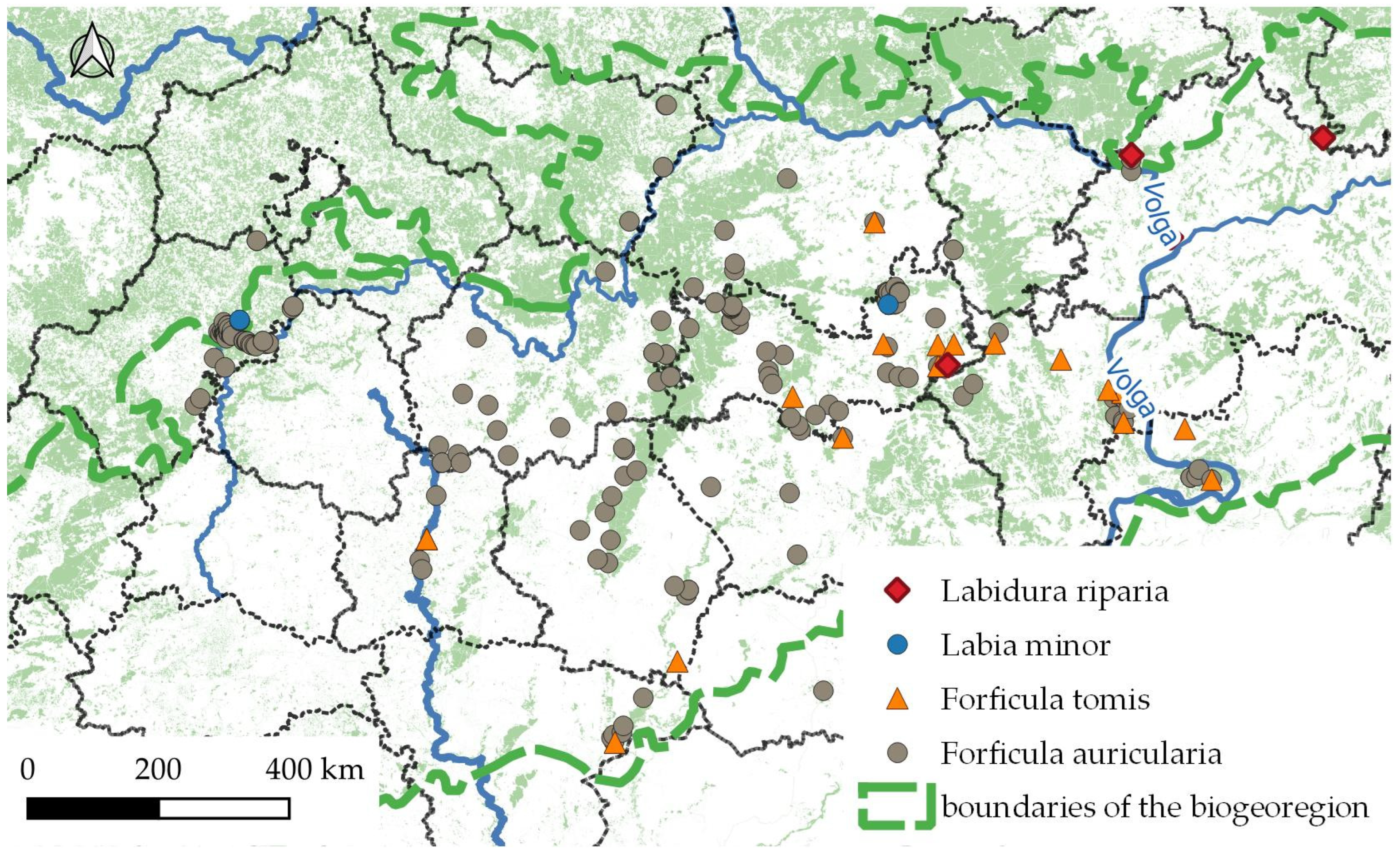Diversity 17 00066 g002