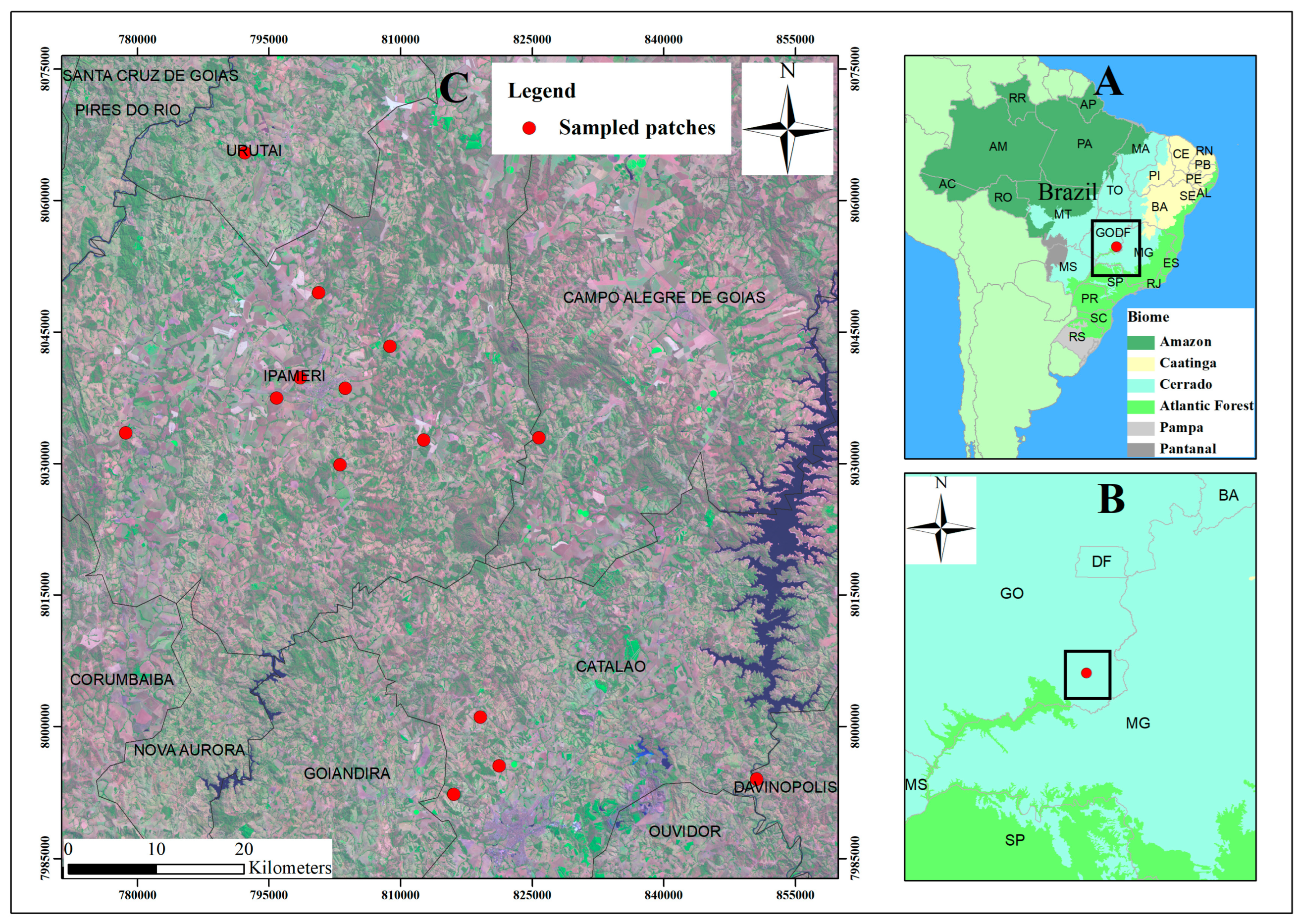 Diversity 17 00083 g001