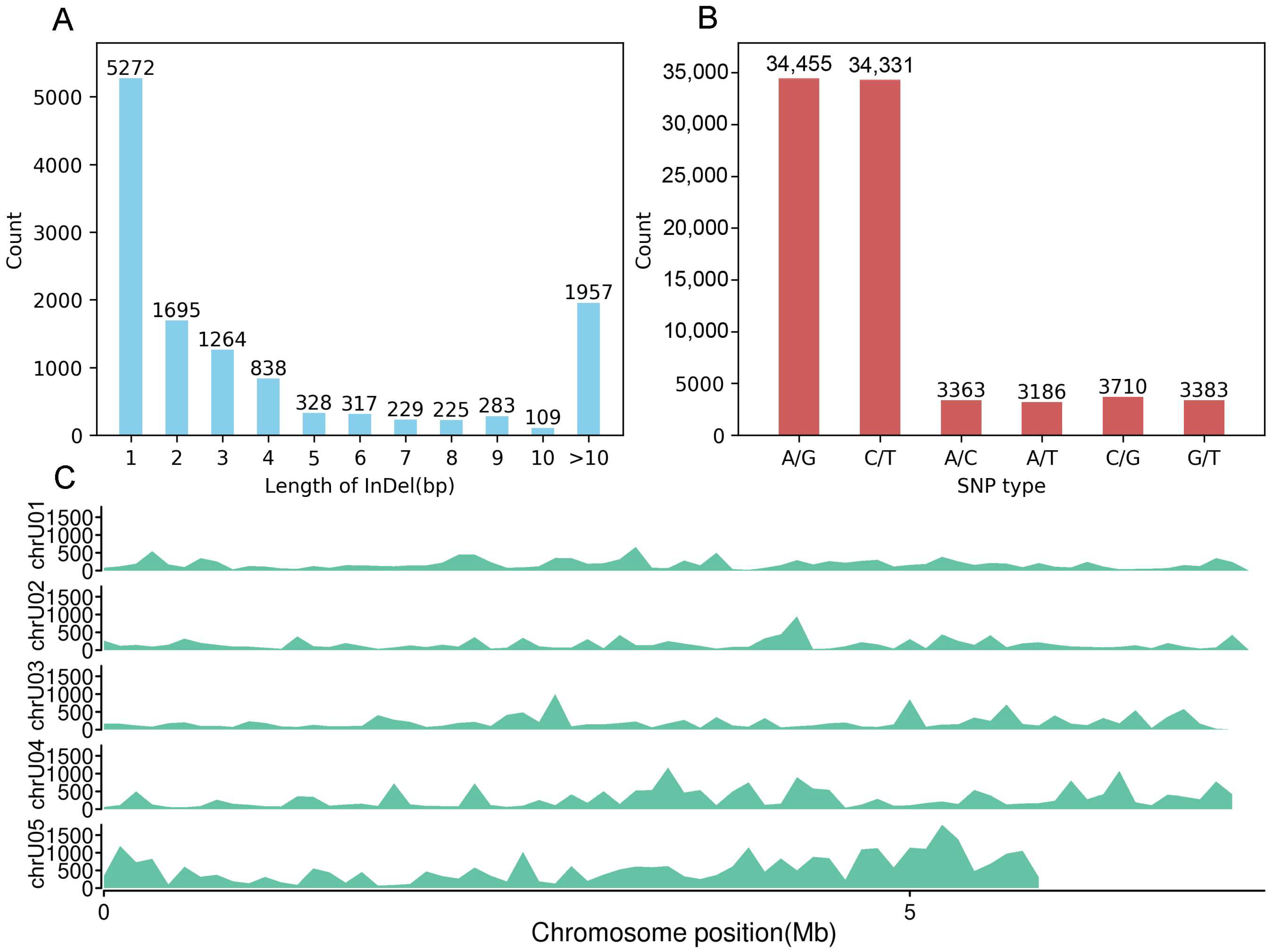 Diversity 17 00085 g004