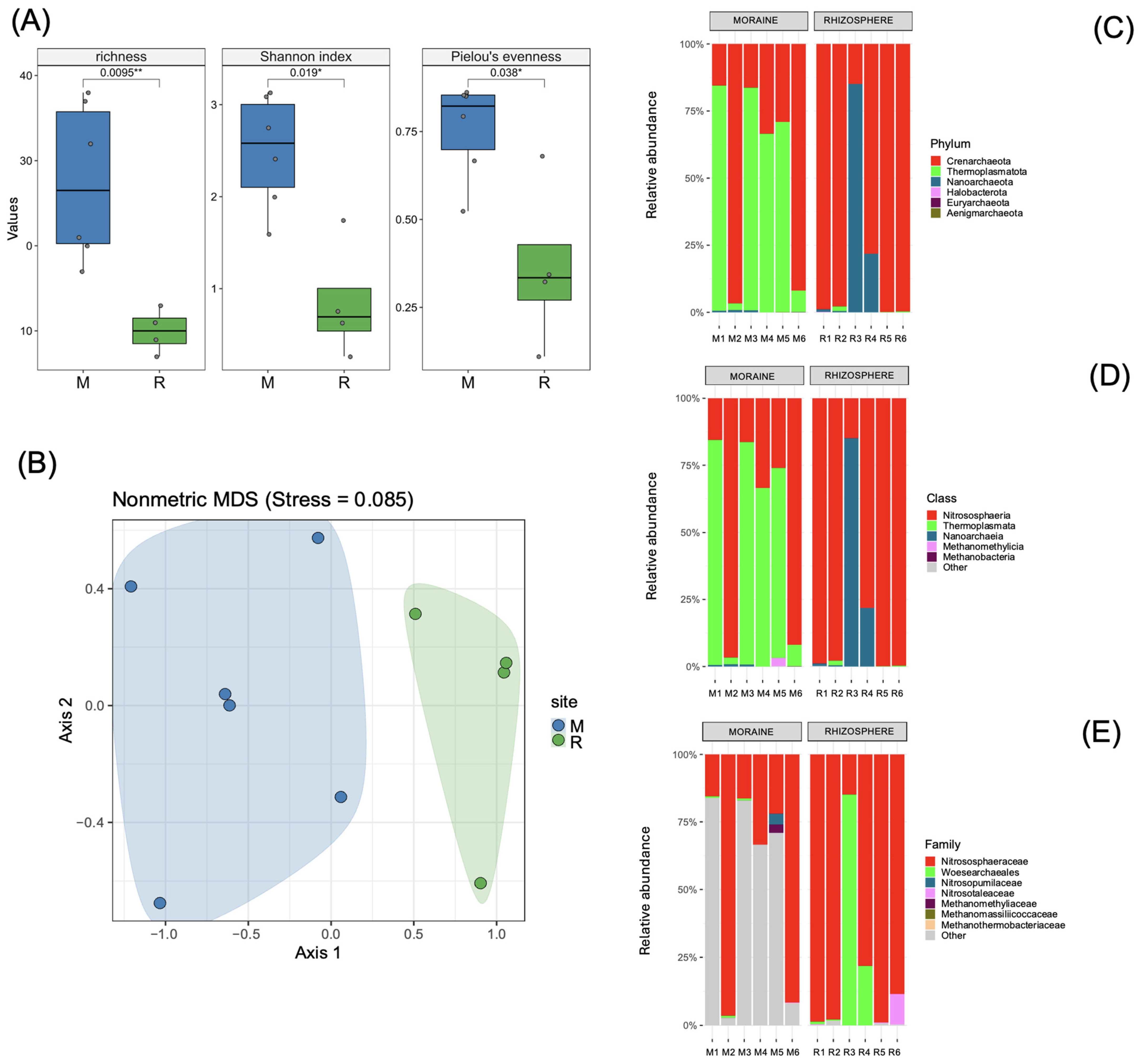 Diversity 17 00086 g004