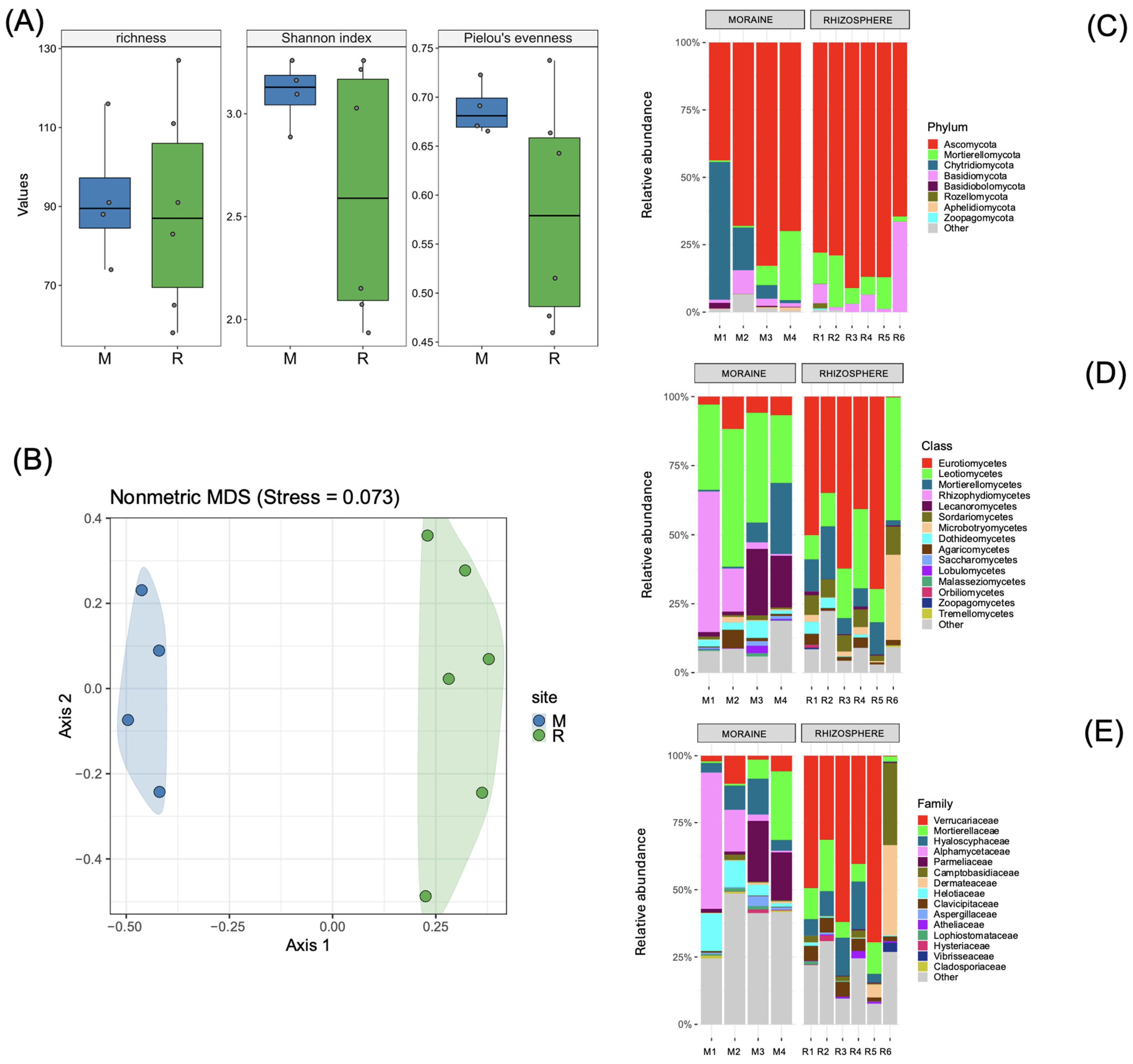 Diversity 17 00086 g005