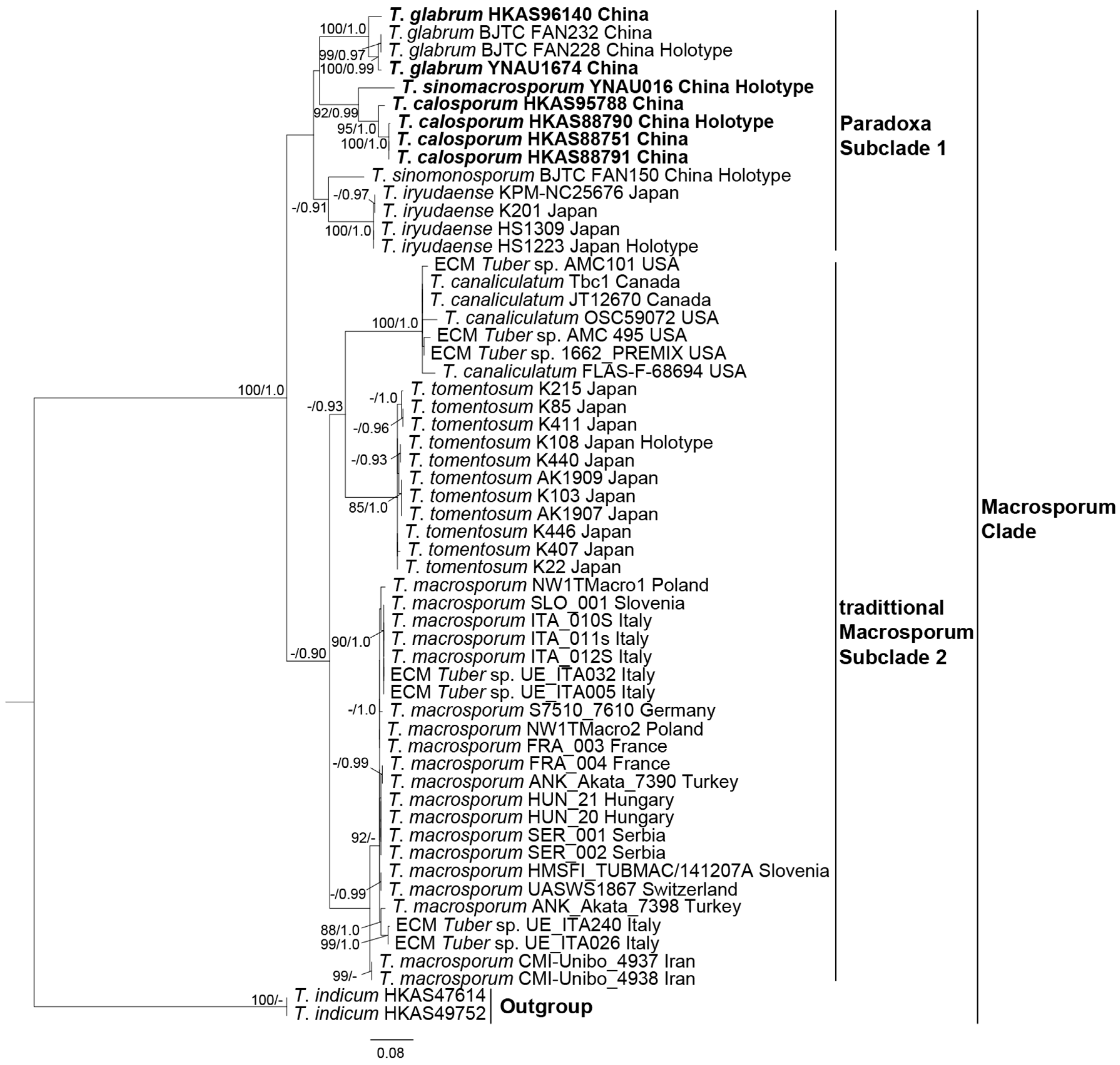 Diversity 17 00092 g003