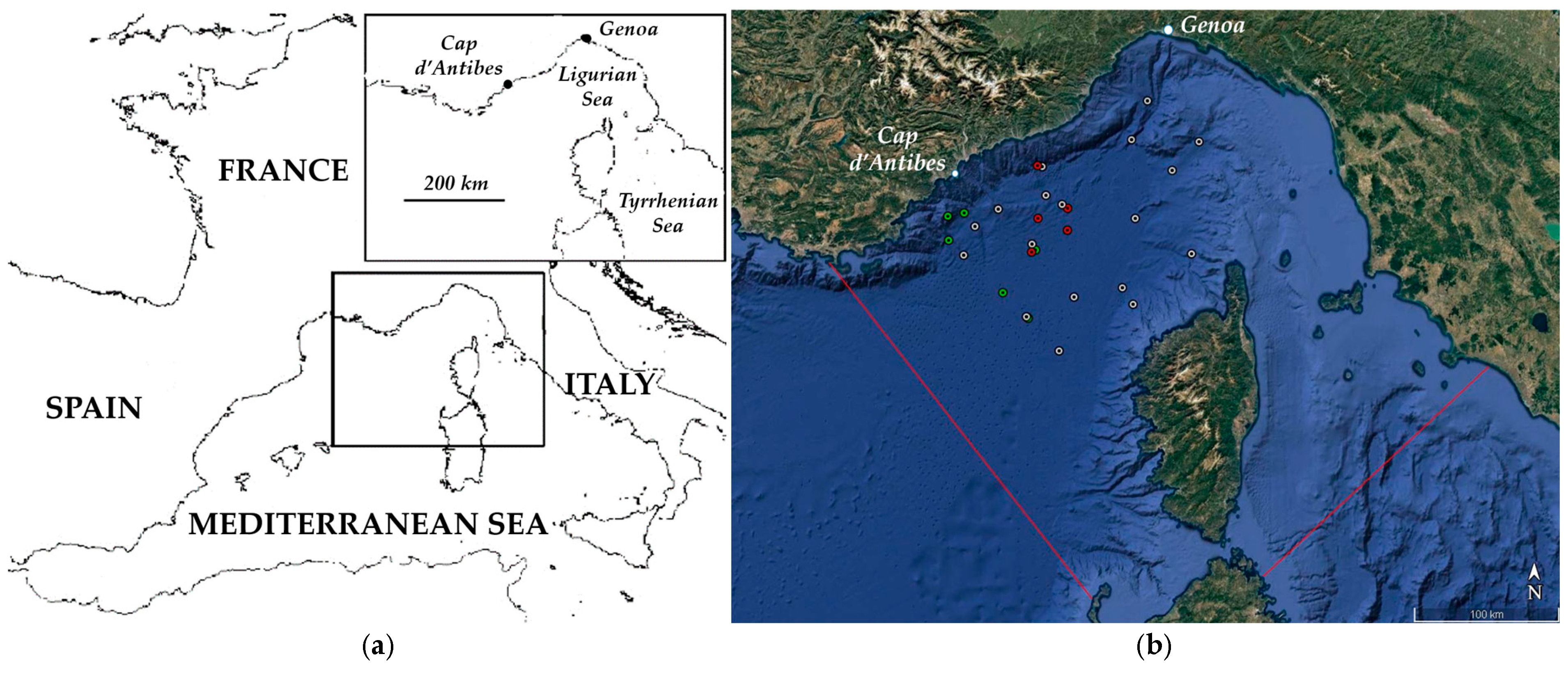 Diversity 17 00097 g001