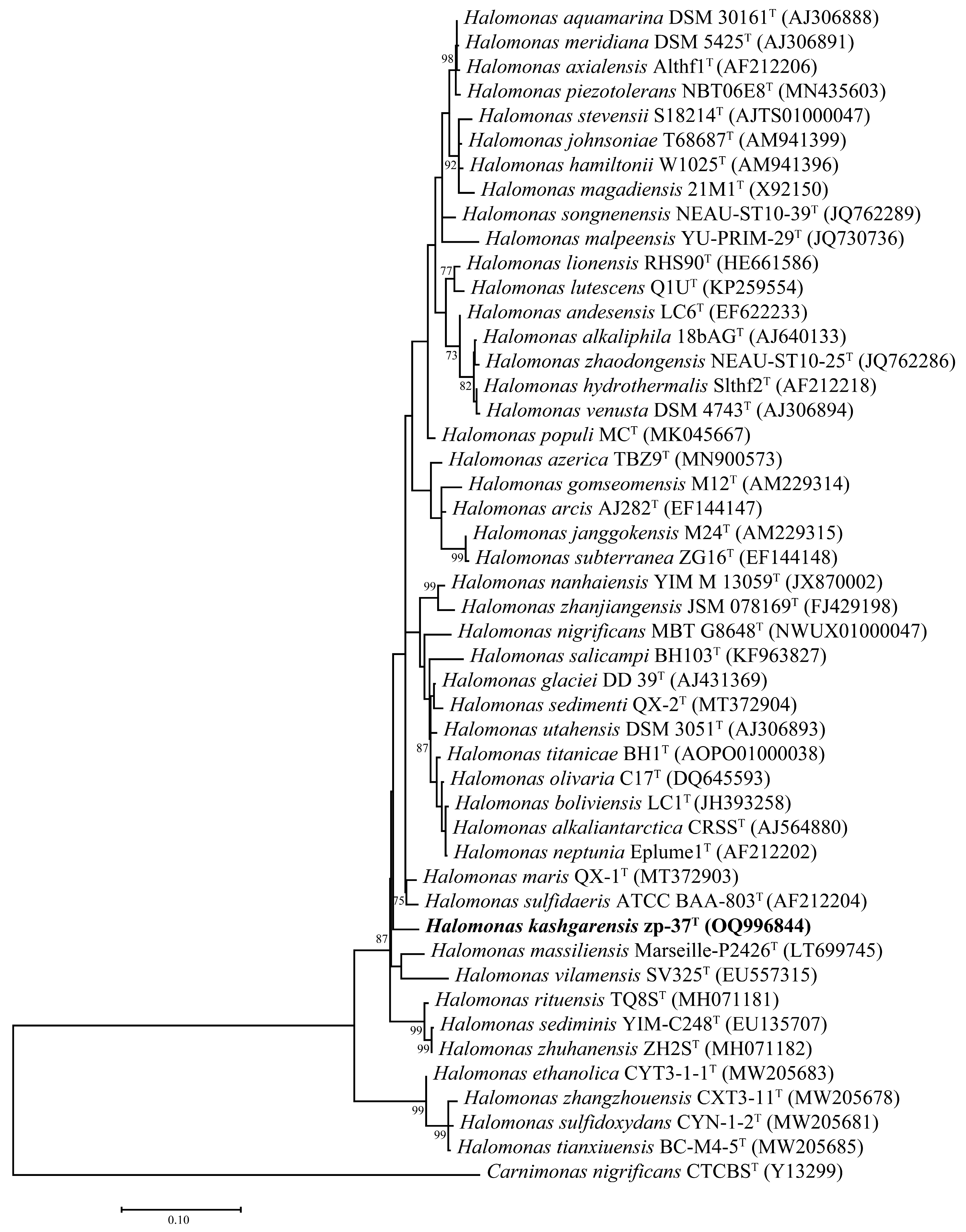 Diversity 17 00098 g001