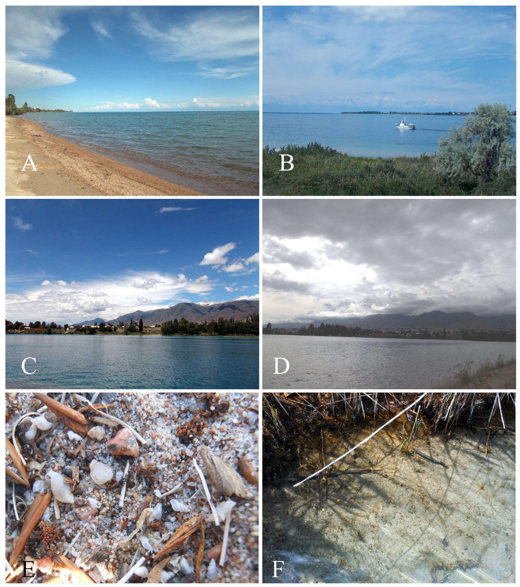 Diversity 17 00112 g001