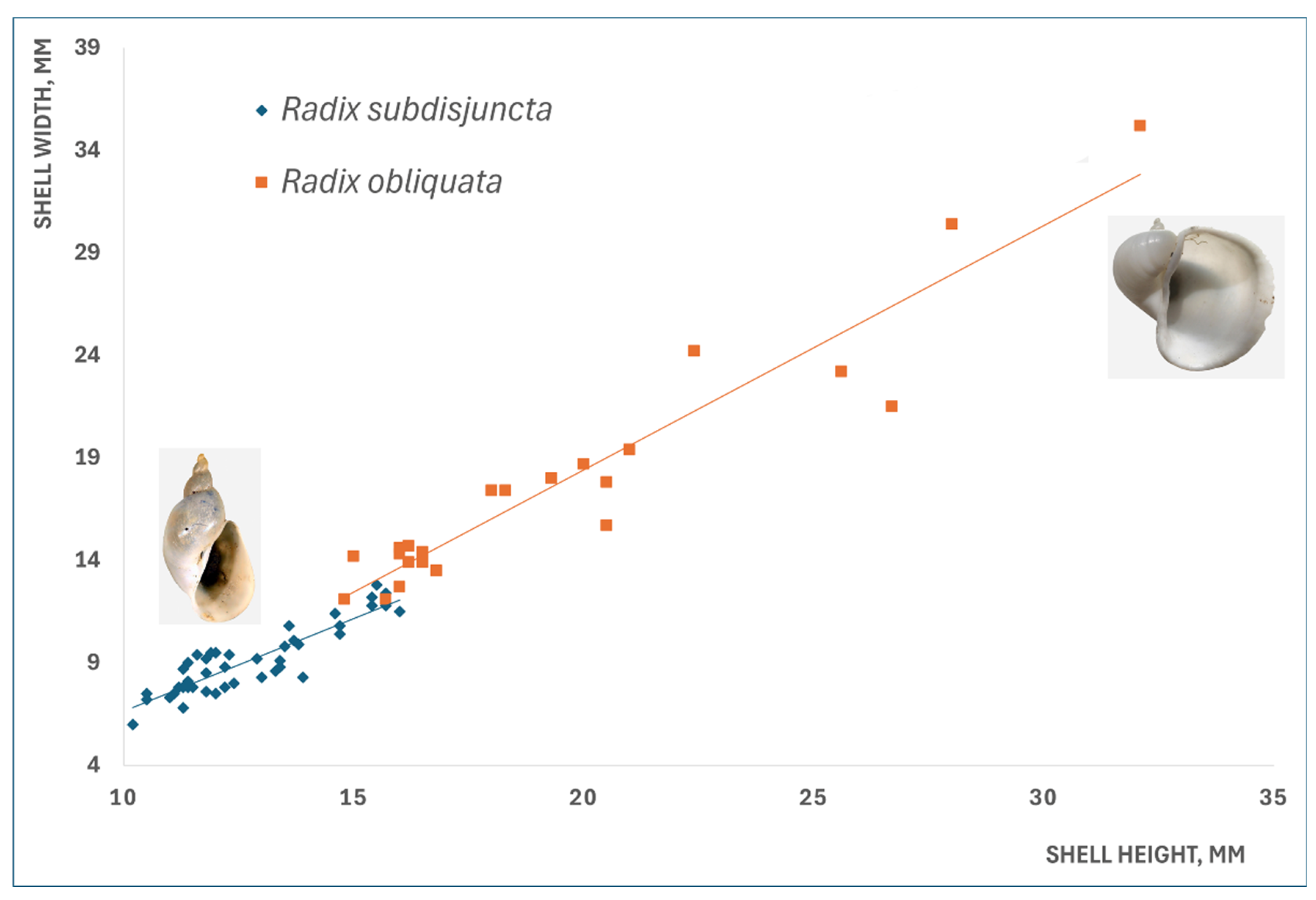 Diversity 17 00112 g008