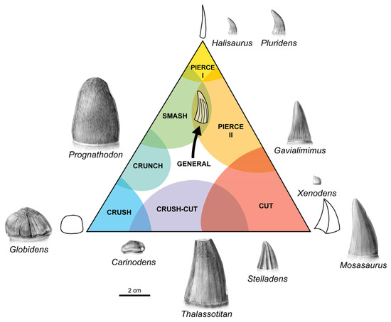 Diversity 17 00114 g003