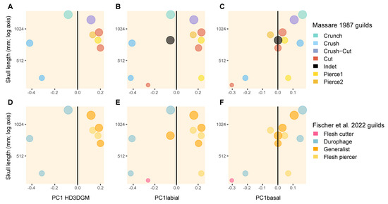 Diversity 17 00114 g005