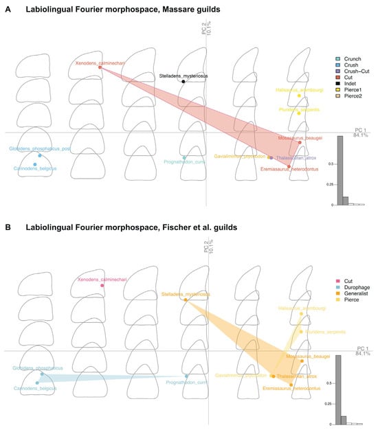 Diversity 17 00114 g0a2