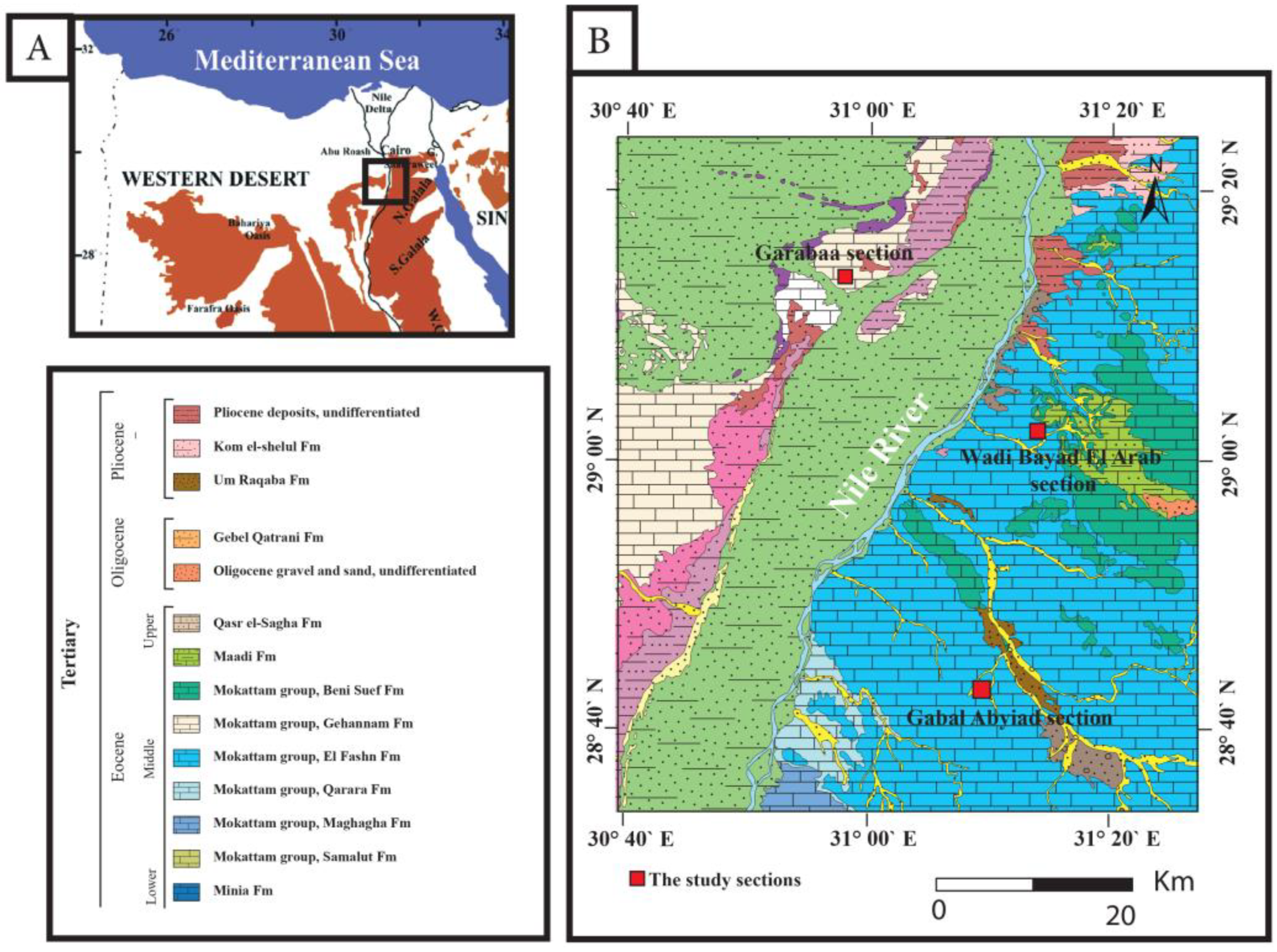 Diversity 17 00116 g001