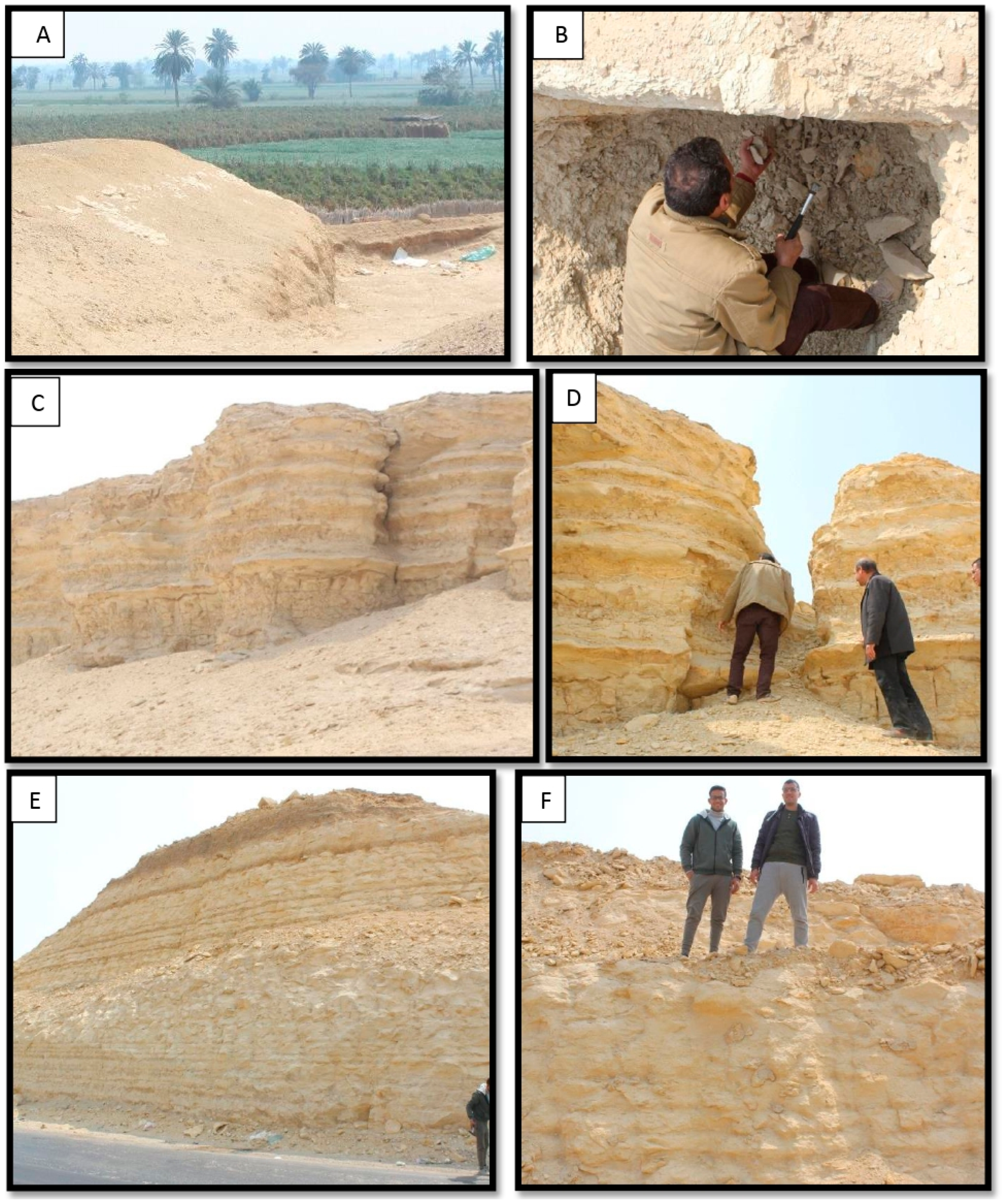 Diversity 17 00116 g002