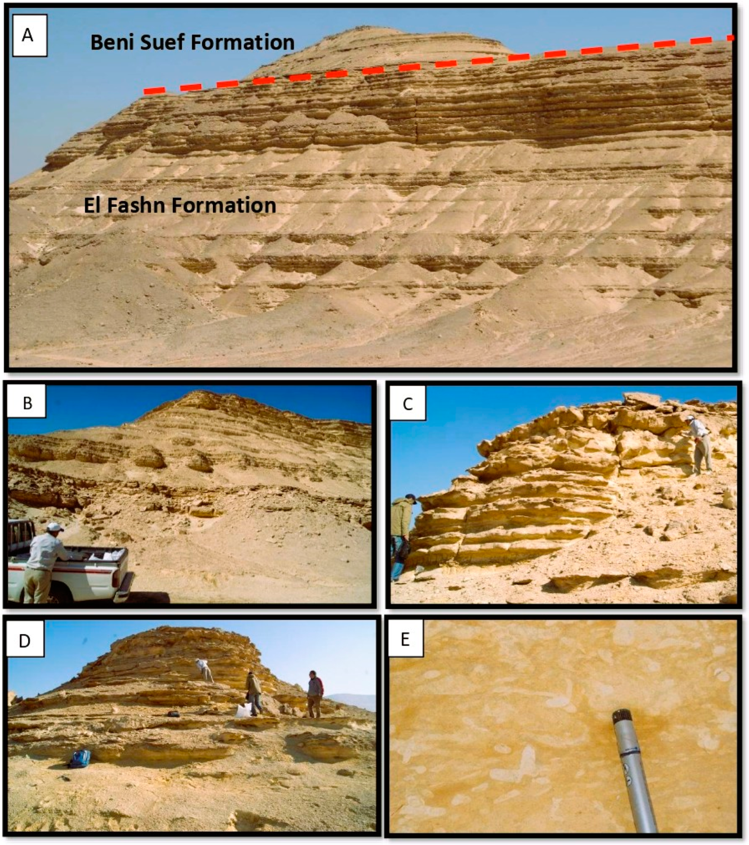 Diversity 17 00116 g003
