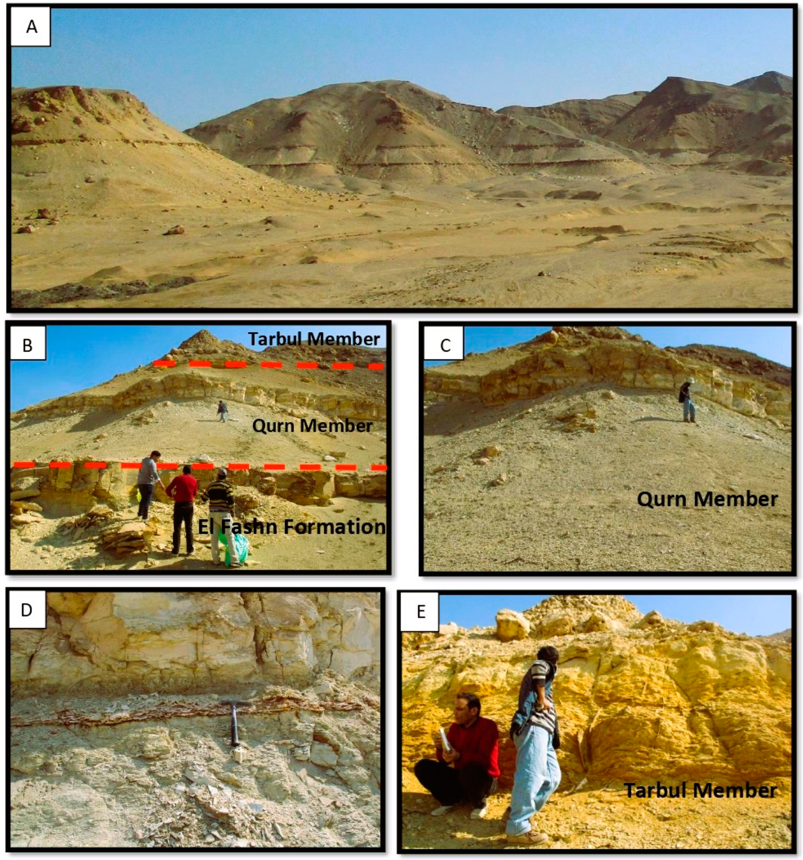 Diversity 17 00116 g004