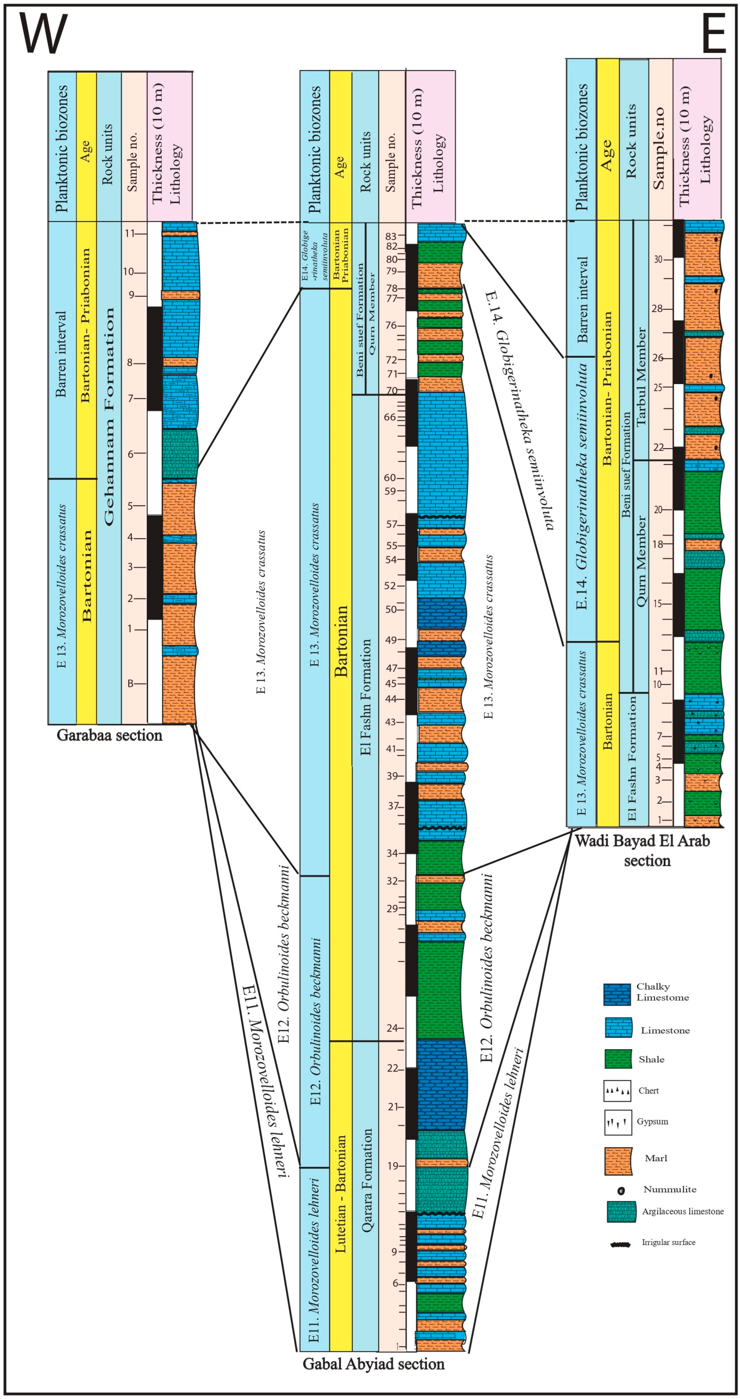 Diversity 17 00116 g005