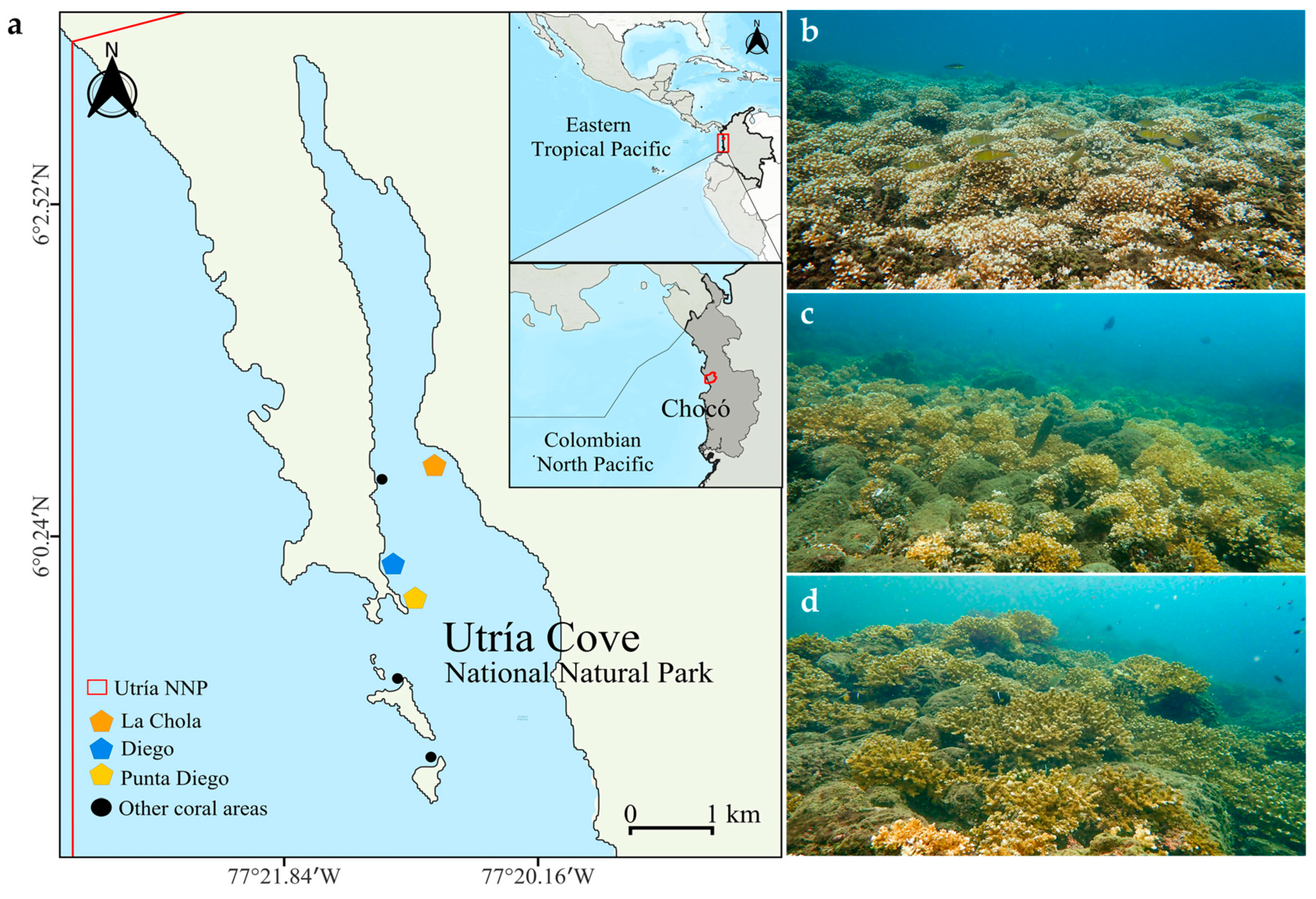 Diversity 17 00124 g001