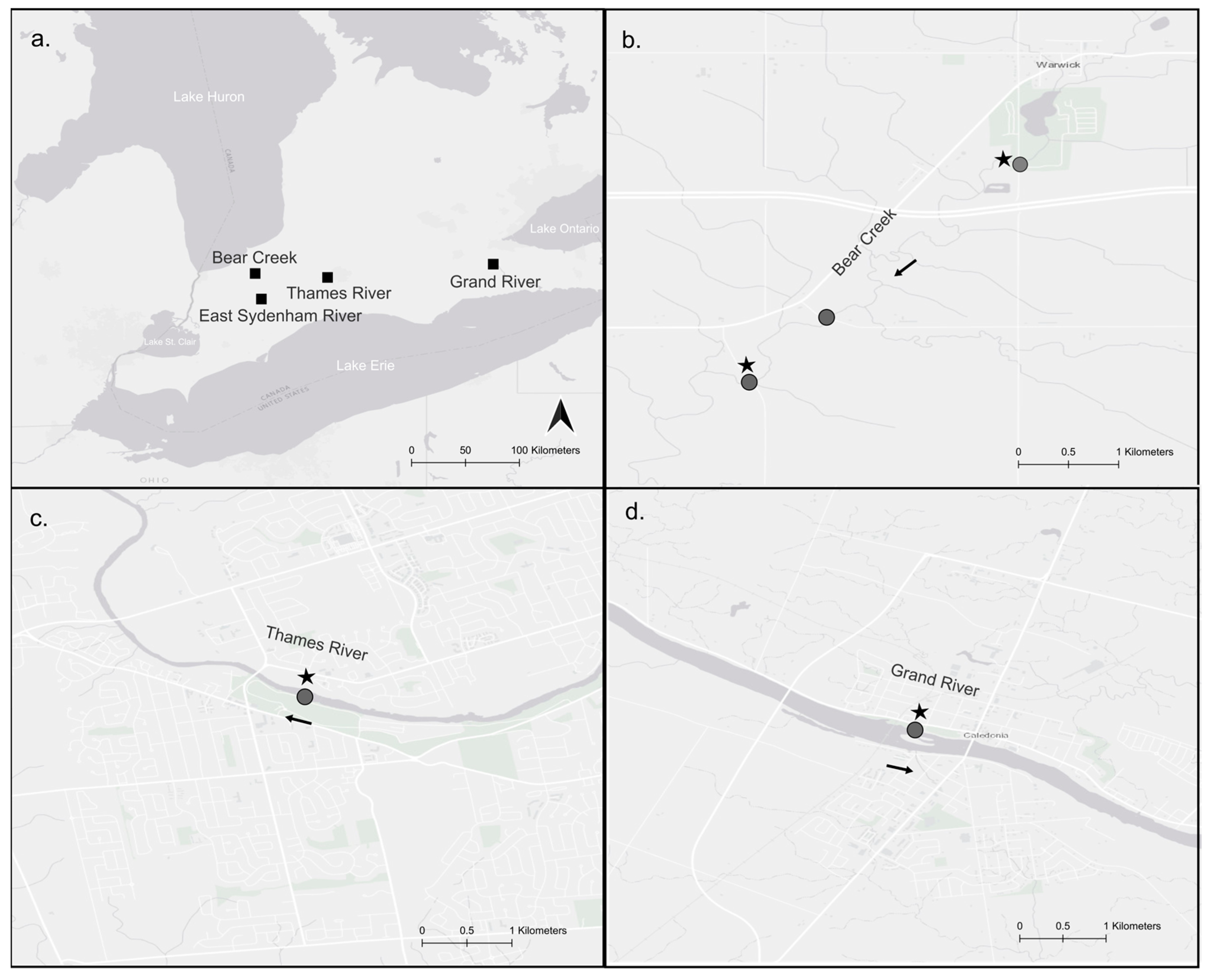 Diversity 17 00133 g002 Diversity 17 00133 g002