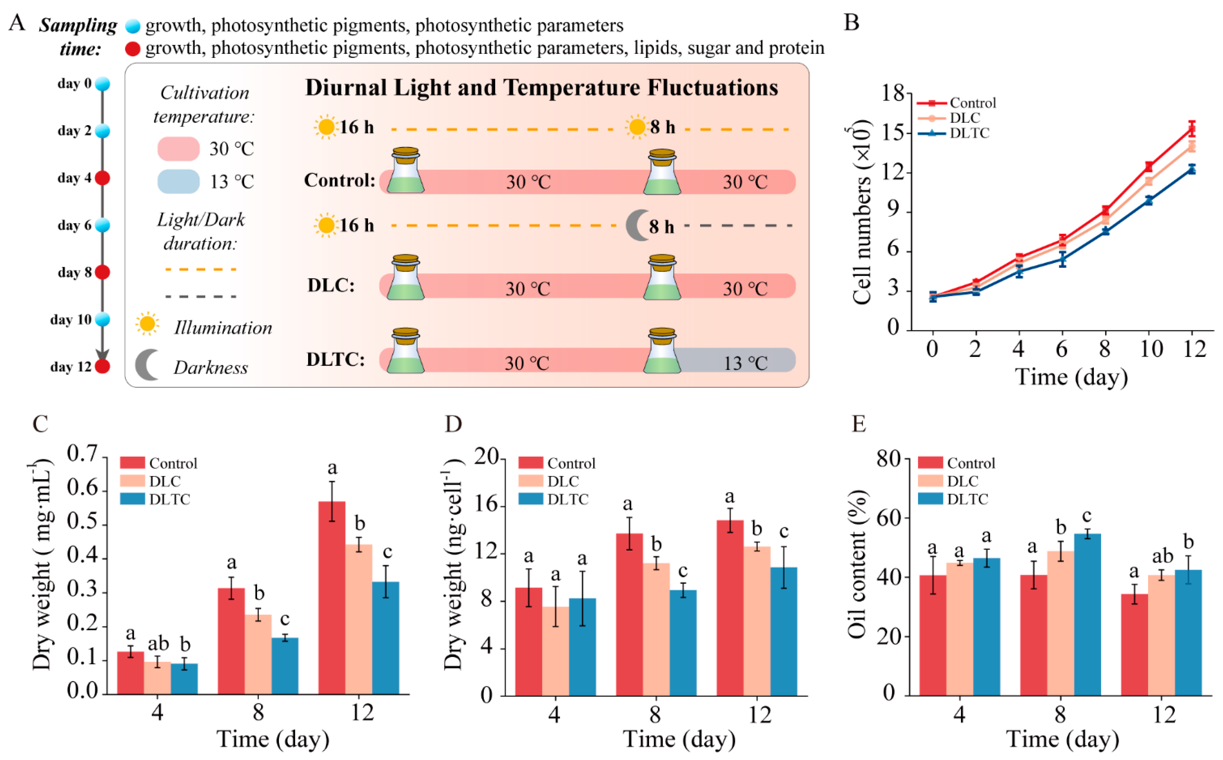 Diversity 17 00135 g001