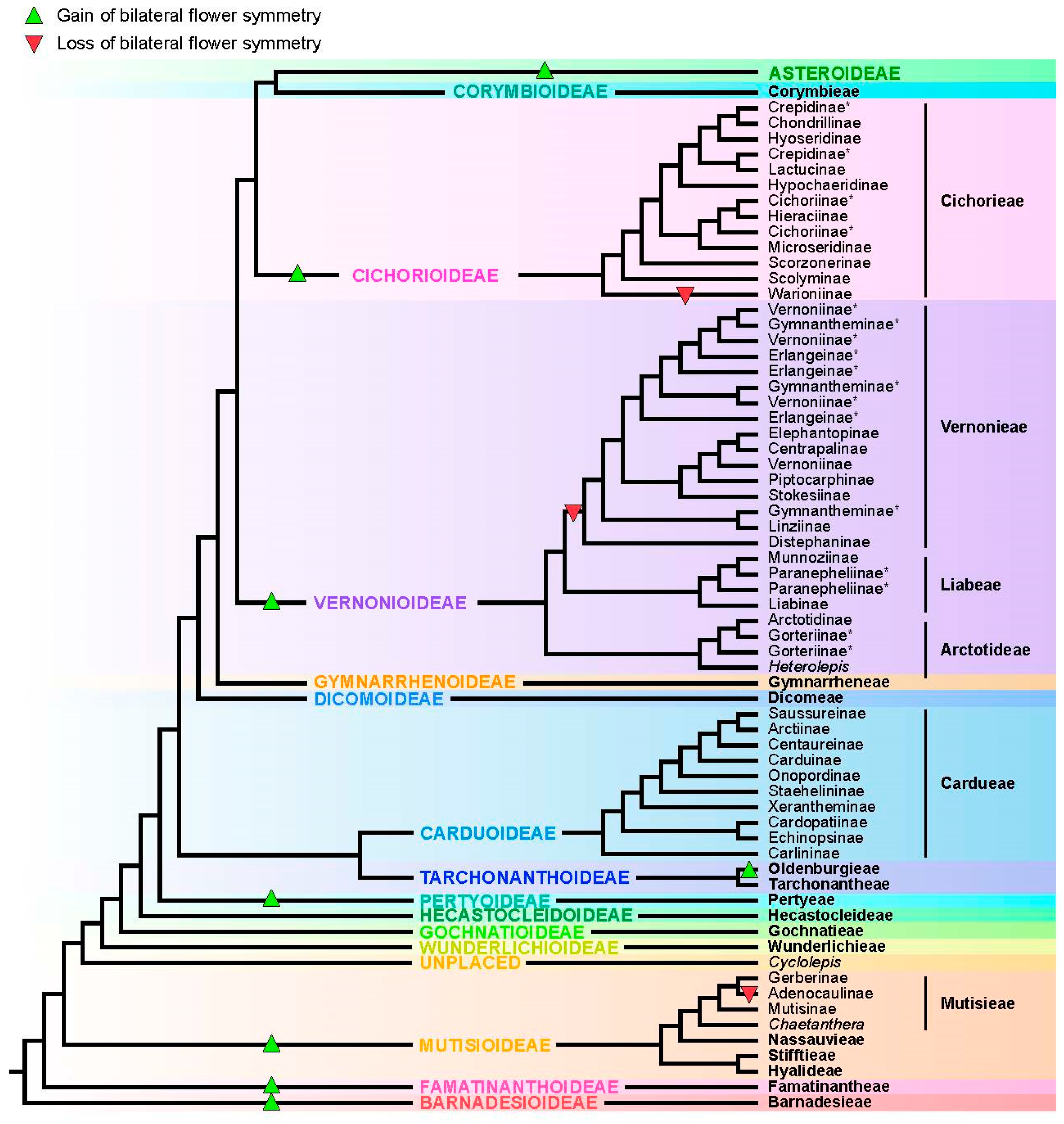 Diversity 17 00136 g001