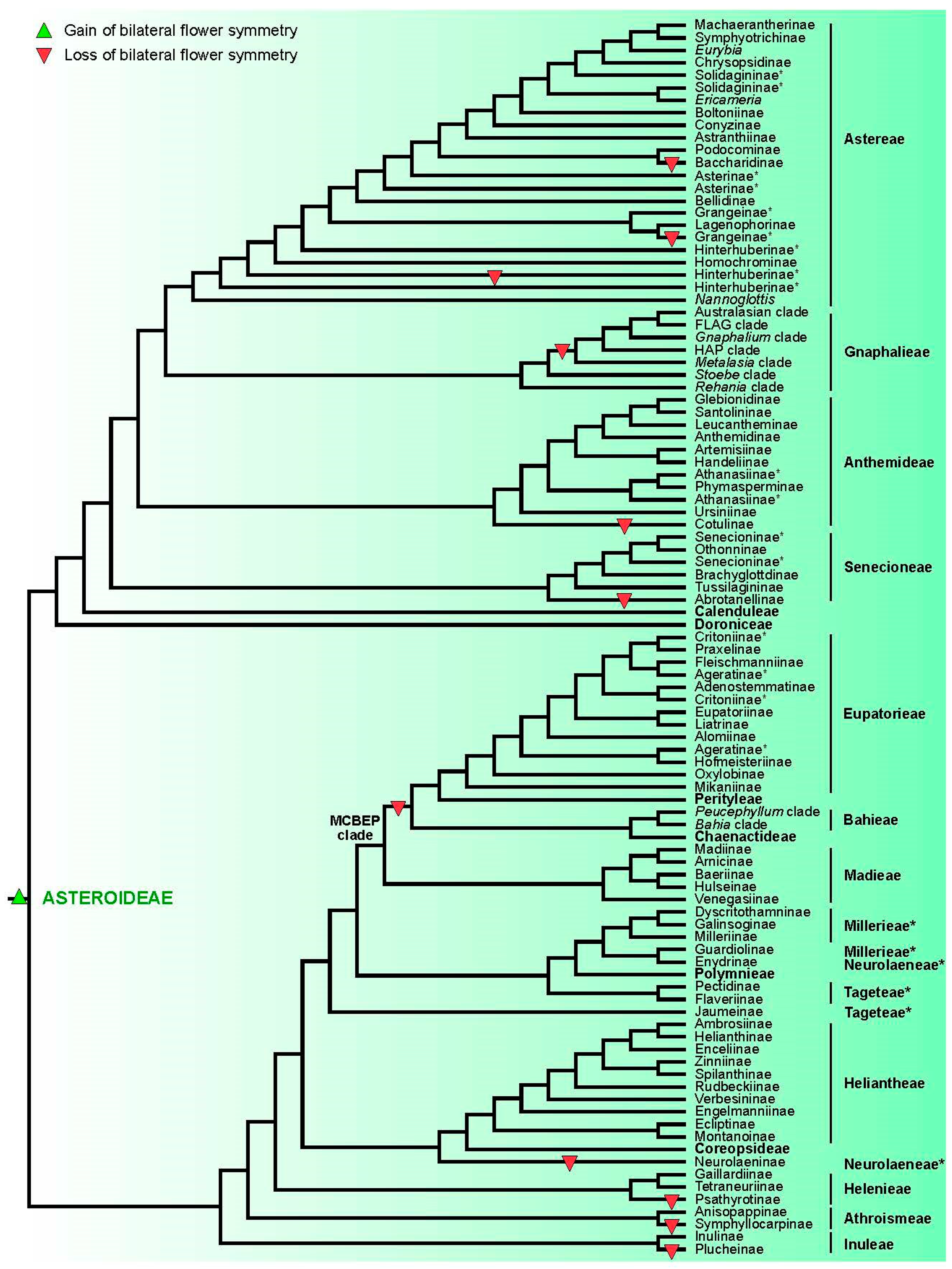 Diversity 17 00136 g002