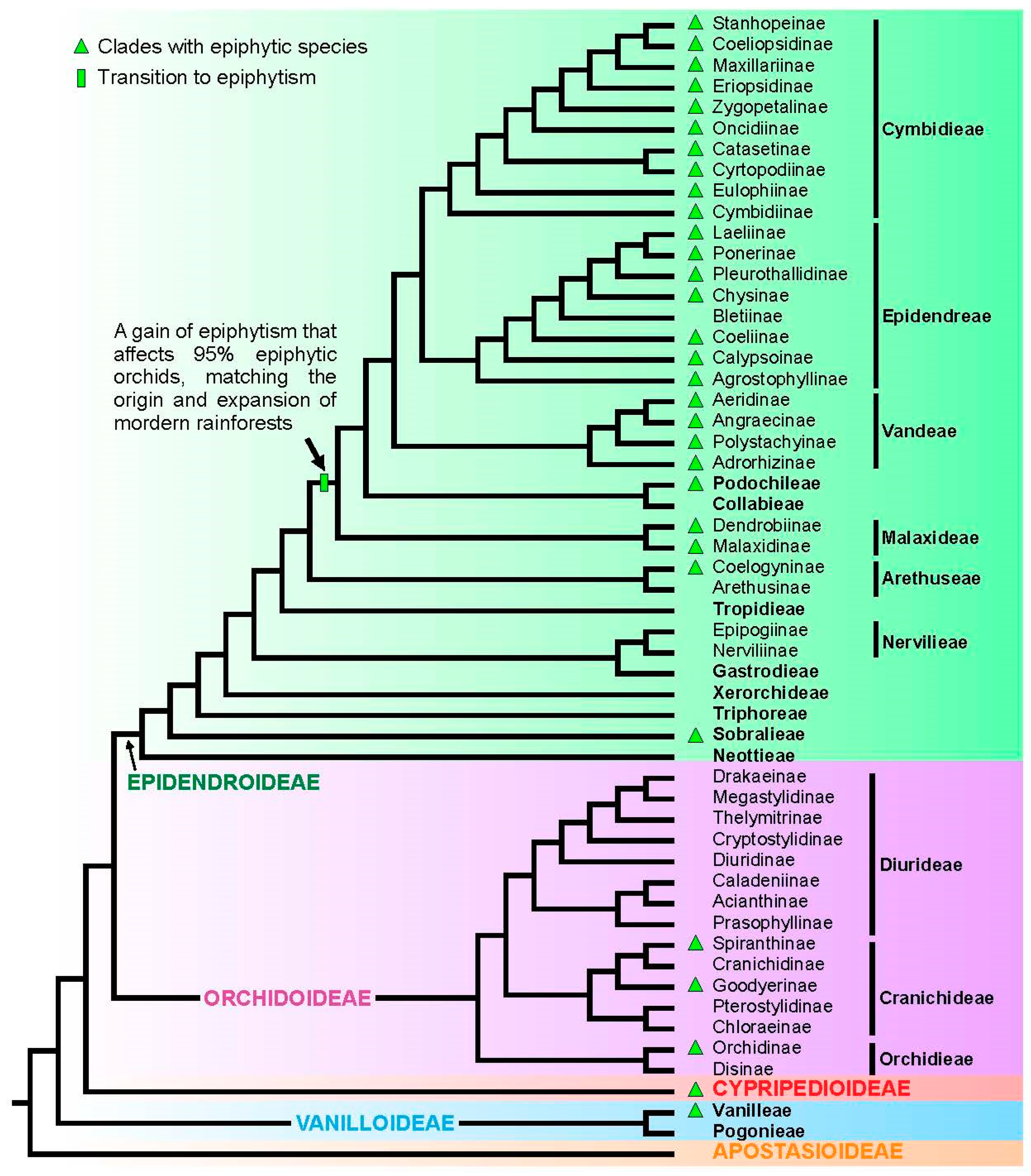 Diversity 17 00136 g003
