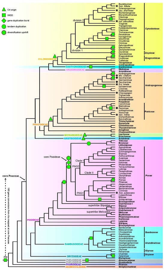 Diversity 17 00136 g005