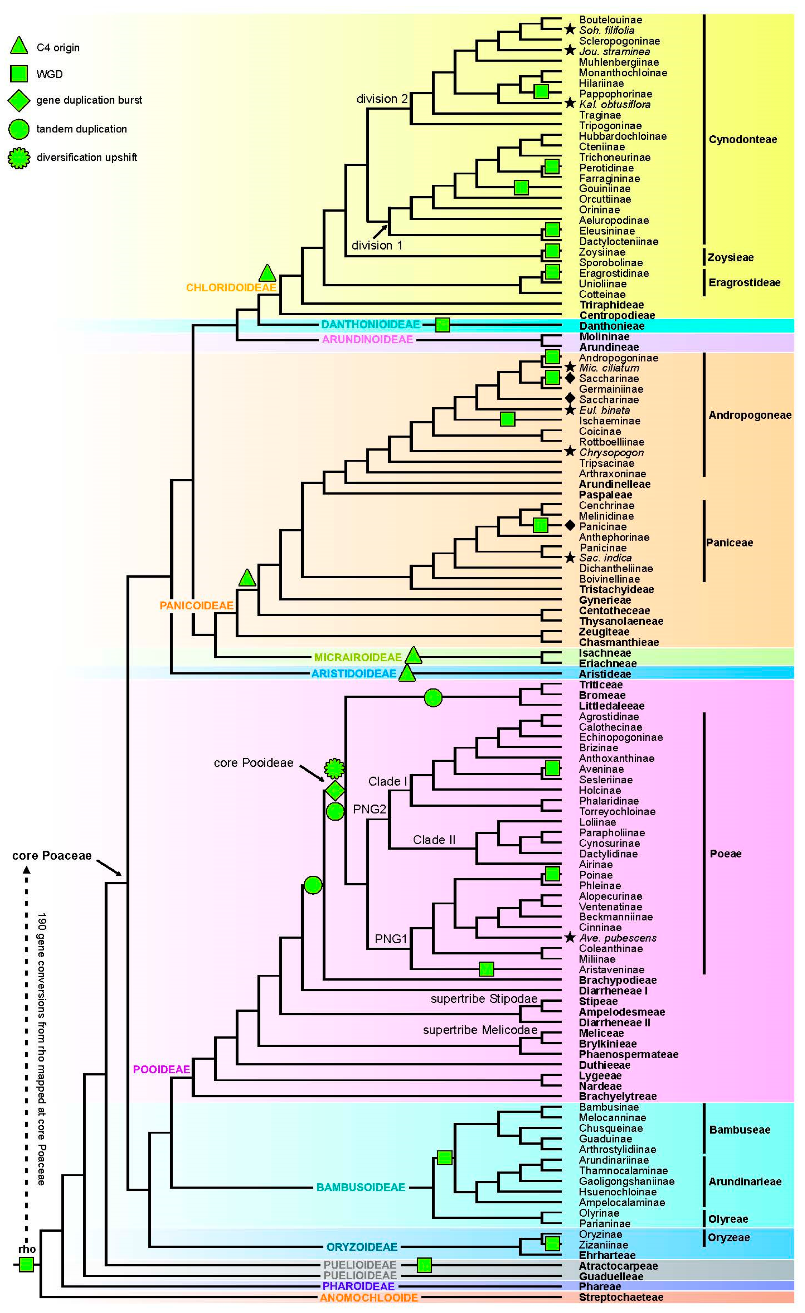 Diversity 17 00136 g005