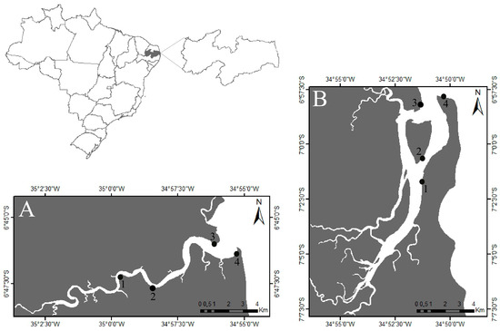 Diversity 17 00142 g001