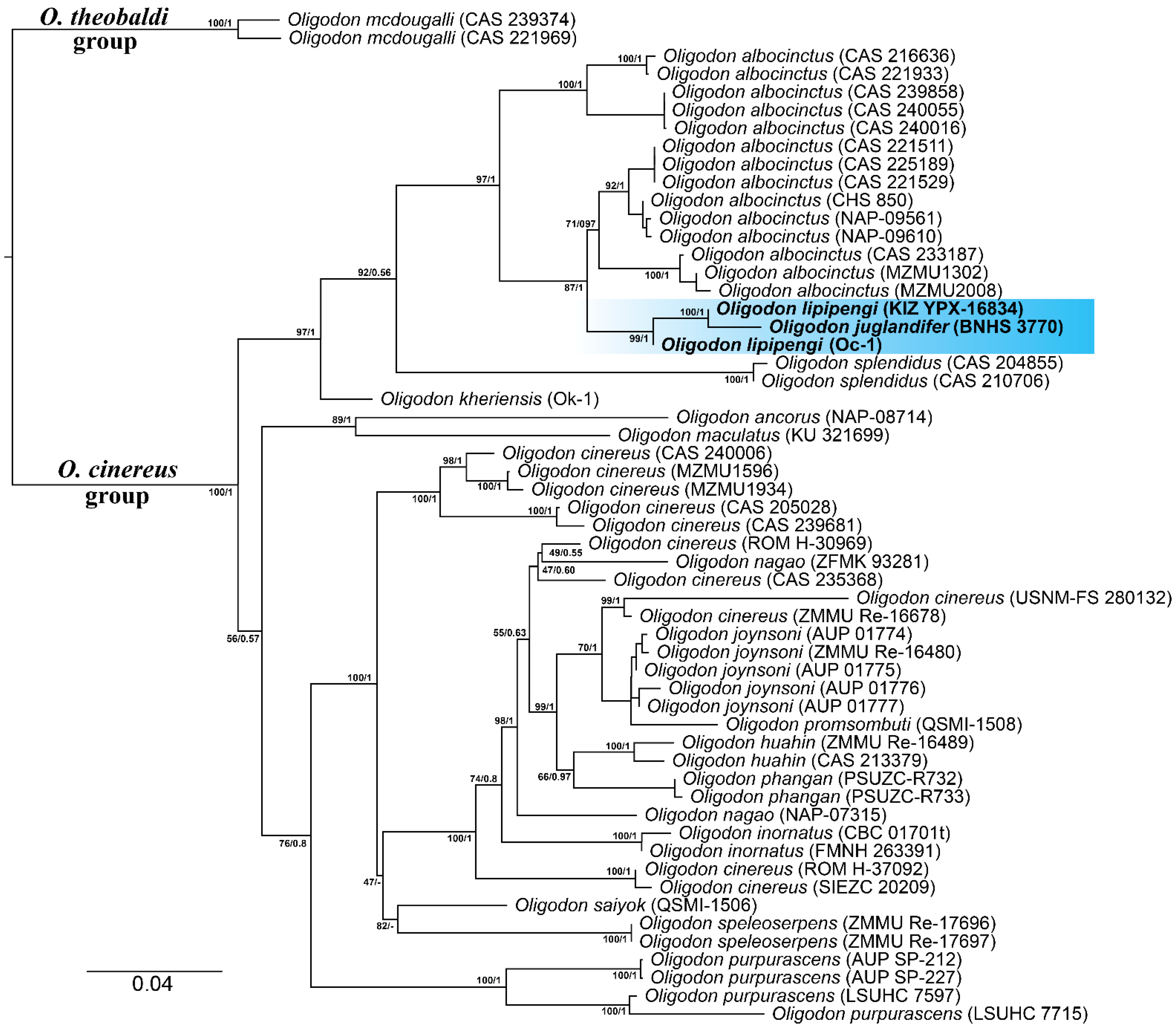 Diversity 17 00143 g002