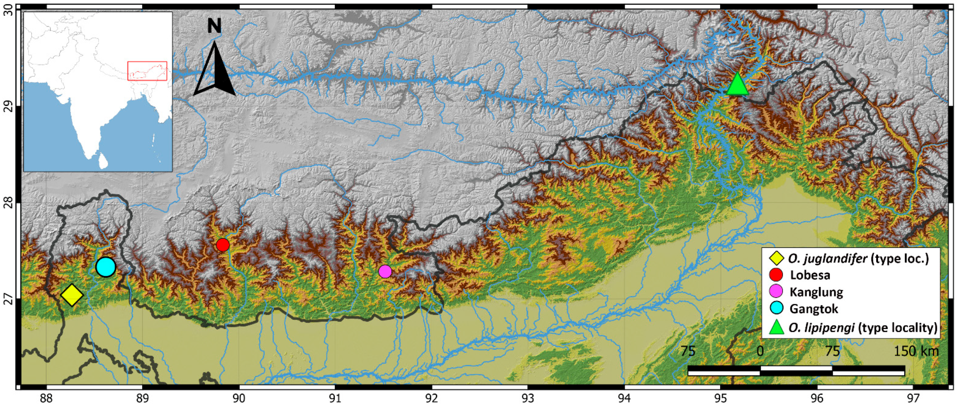 Diversity 17 00143 g007