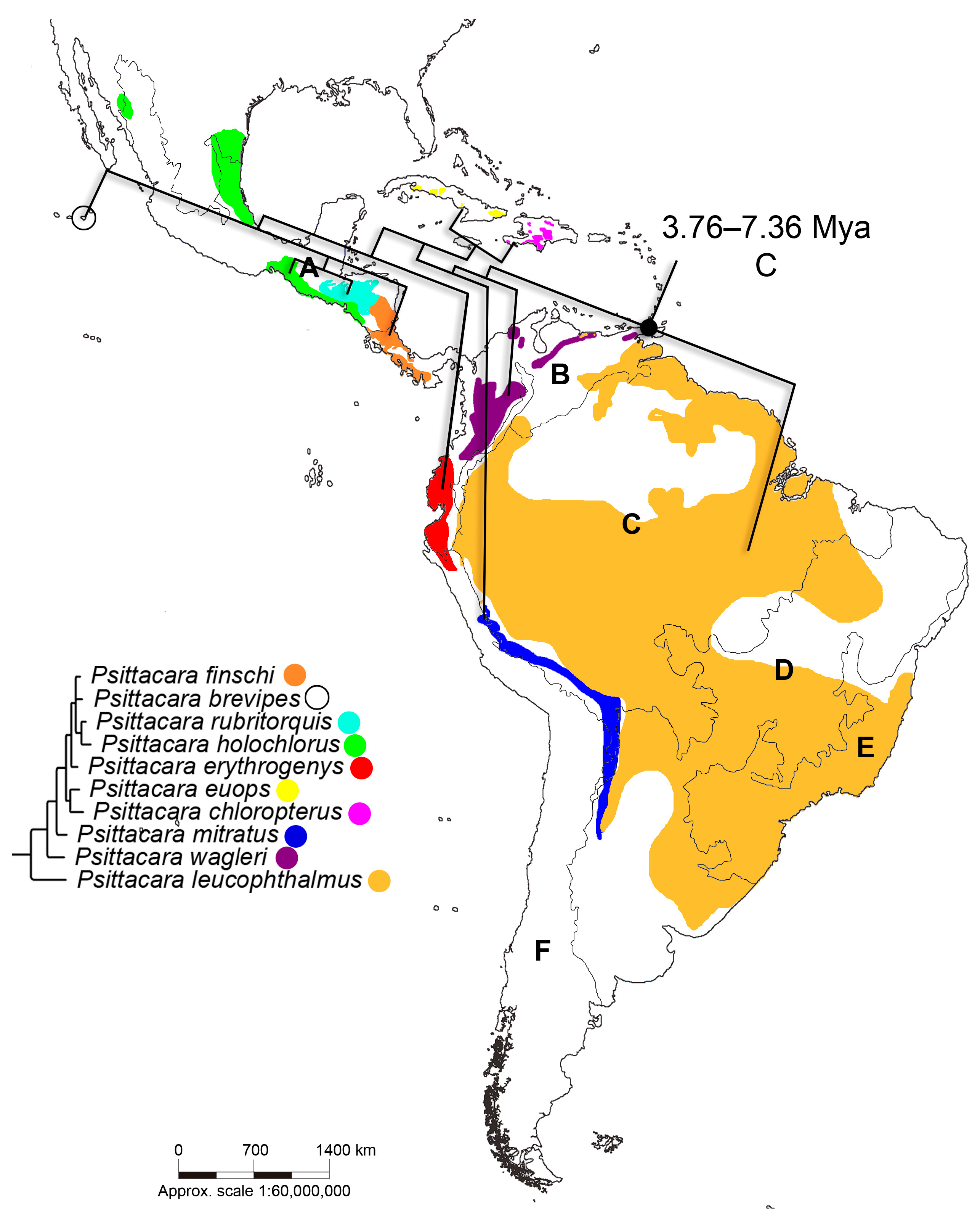 Diversity 17 00155 g006