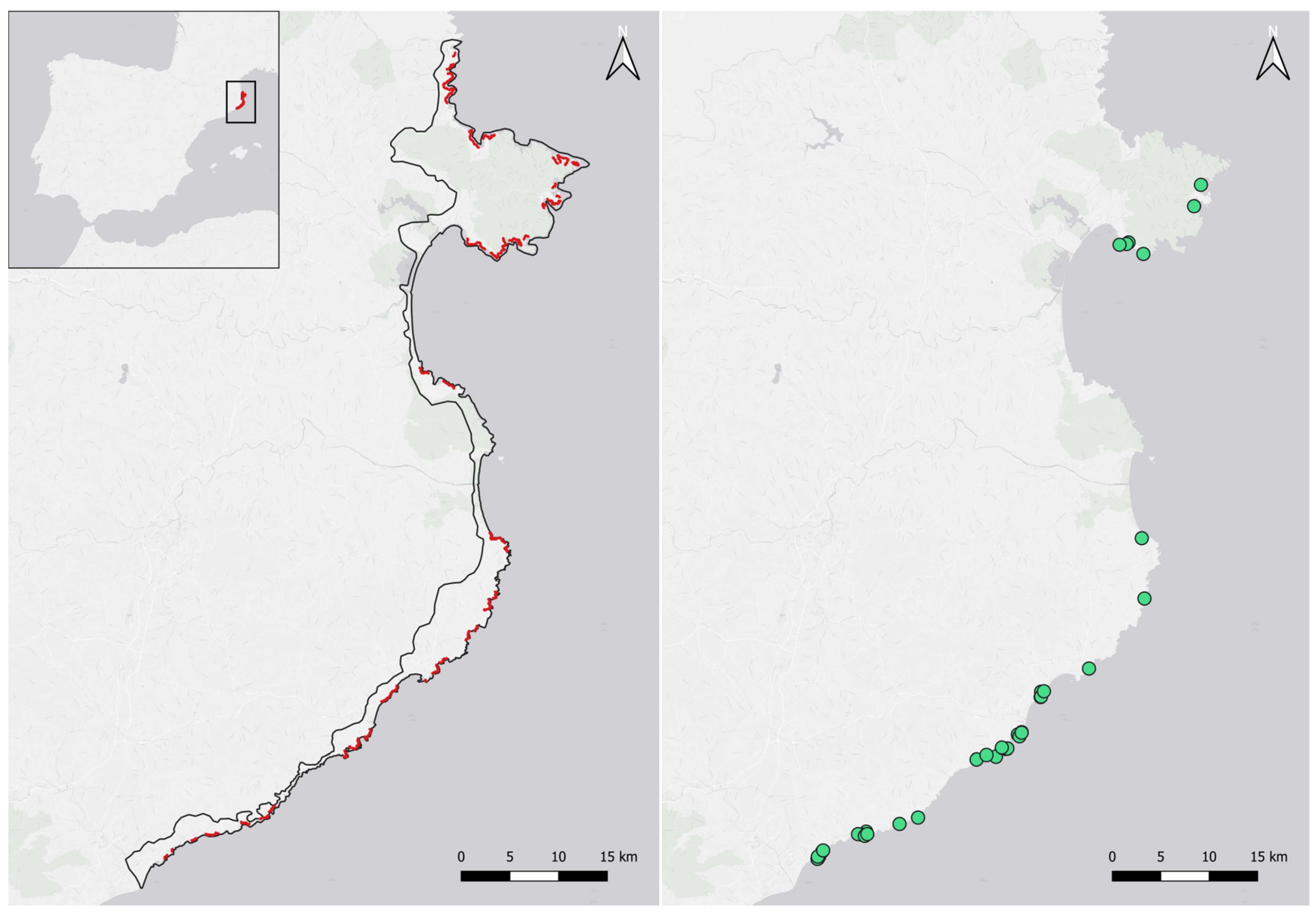 Diversity 17 00160 g001