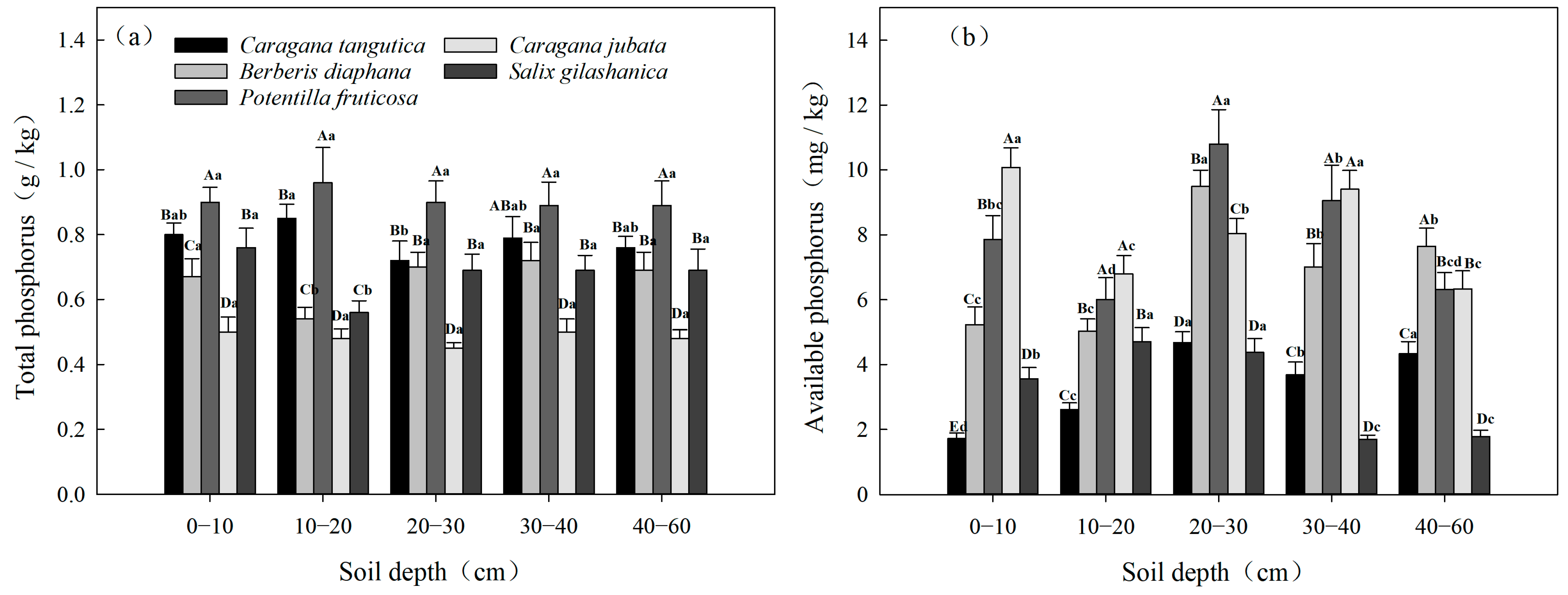 Diversity 17 00175 g006