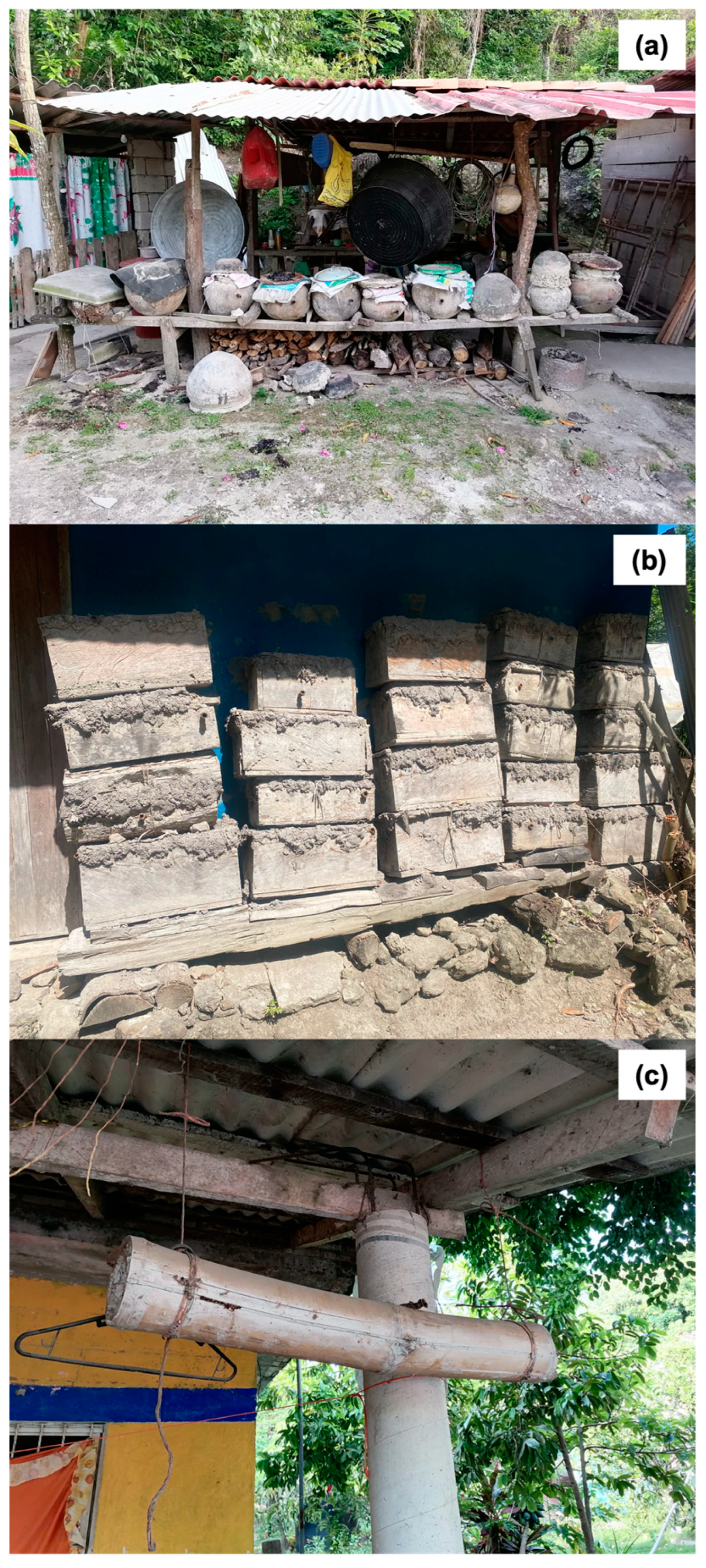 Diversity 17 00191 g004 Diversity 17 00191 g004